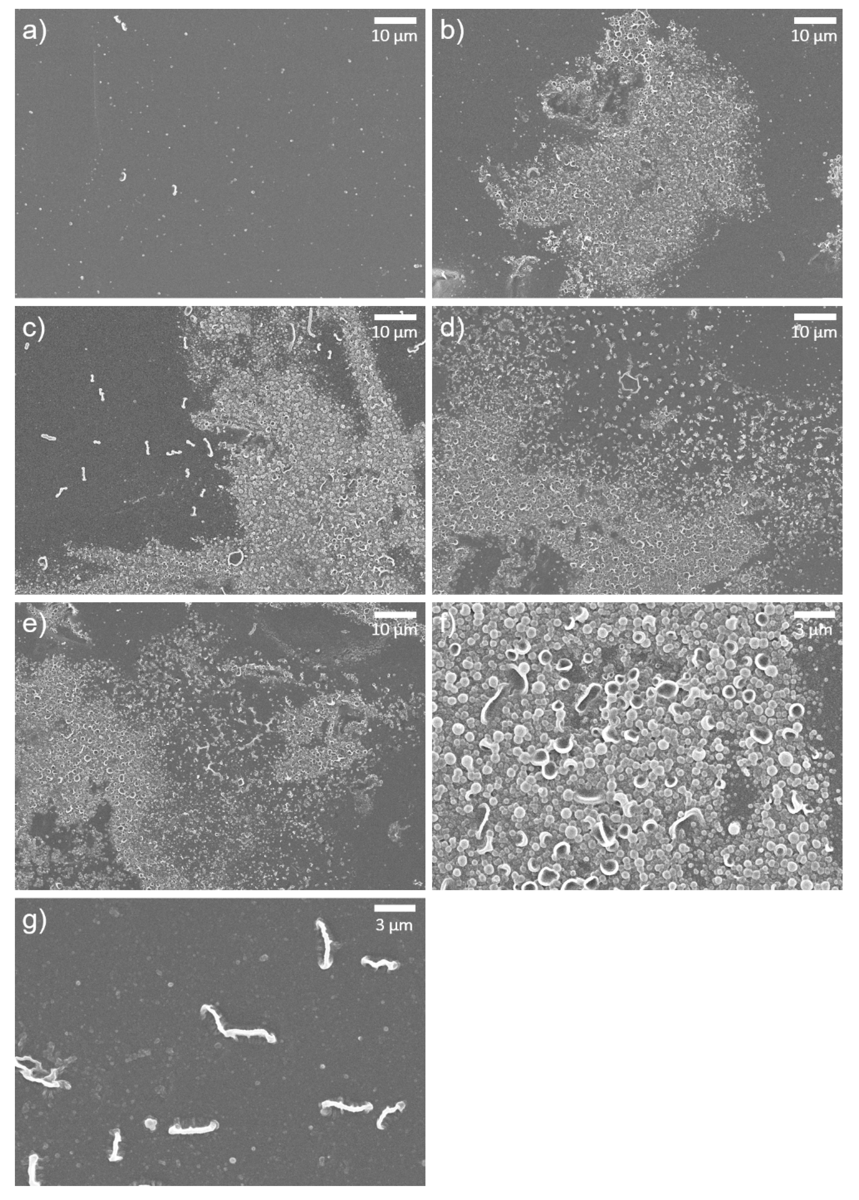 Materials 14 03151 g004 Materials 14 03151 g004