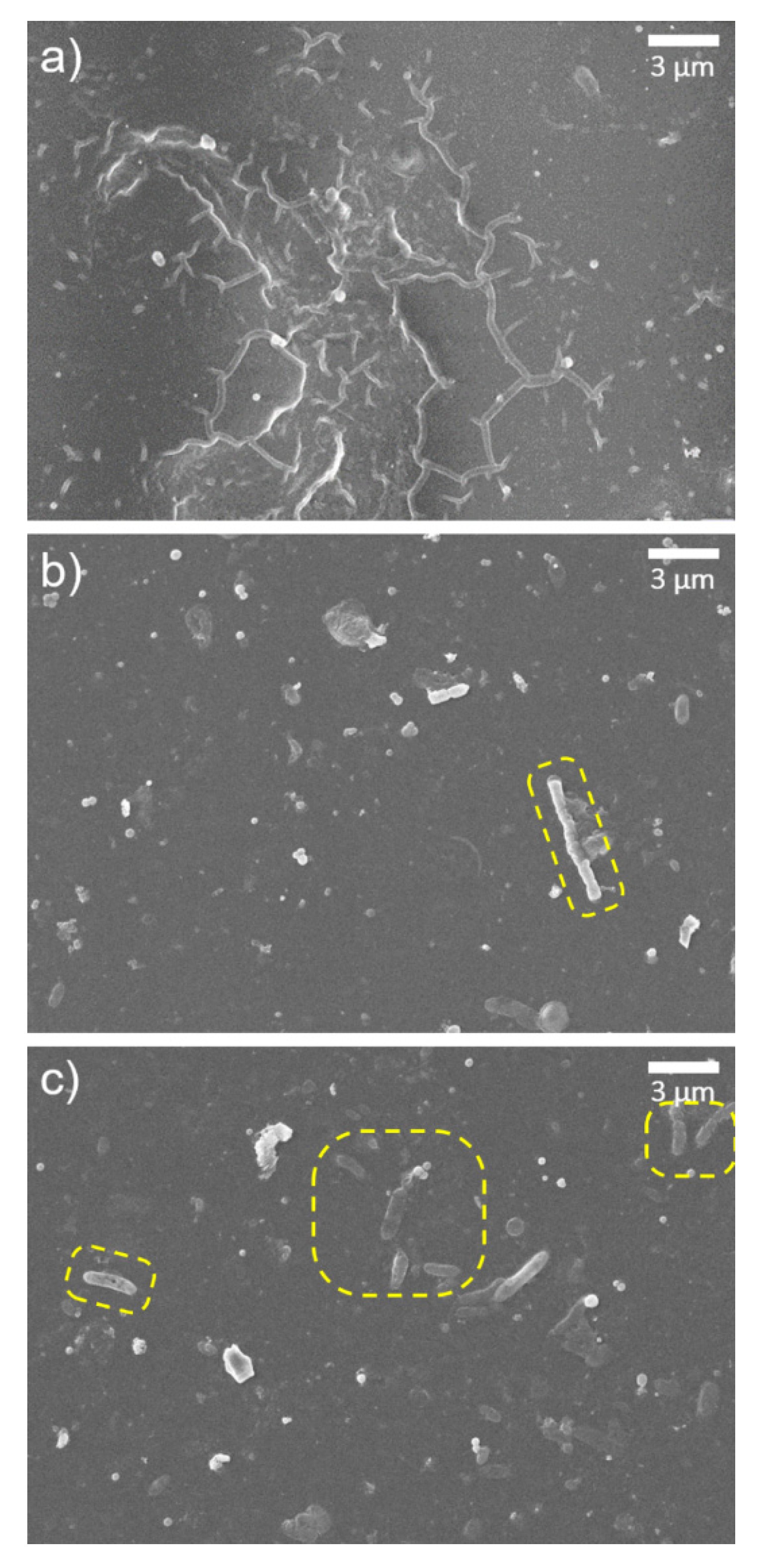 Materials 14 03151 g006 Materials 14 03151 g006