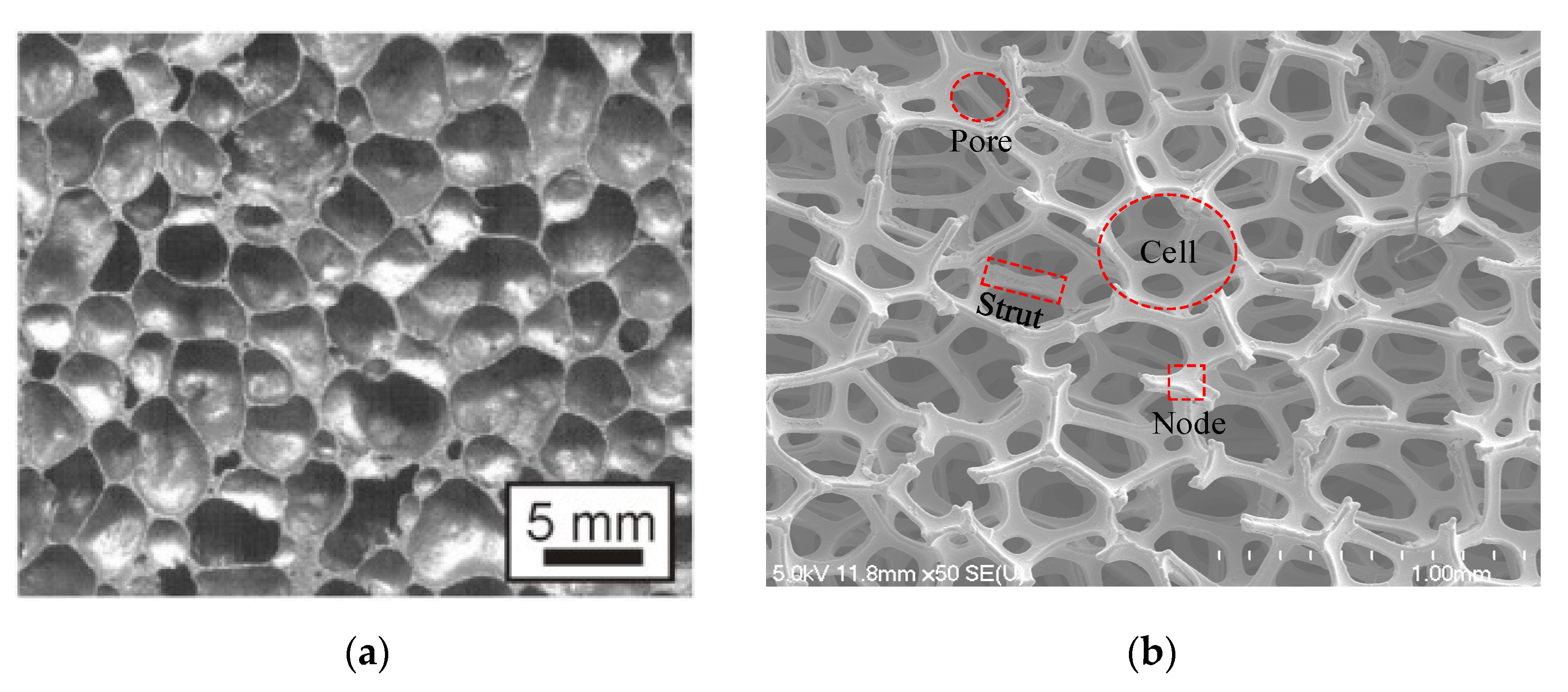Materials 14 03153 g001 Materials 14 03153 g001