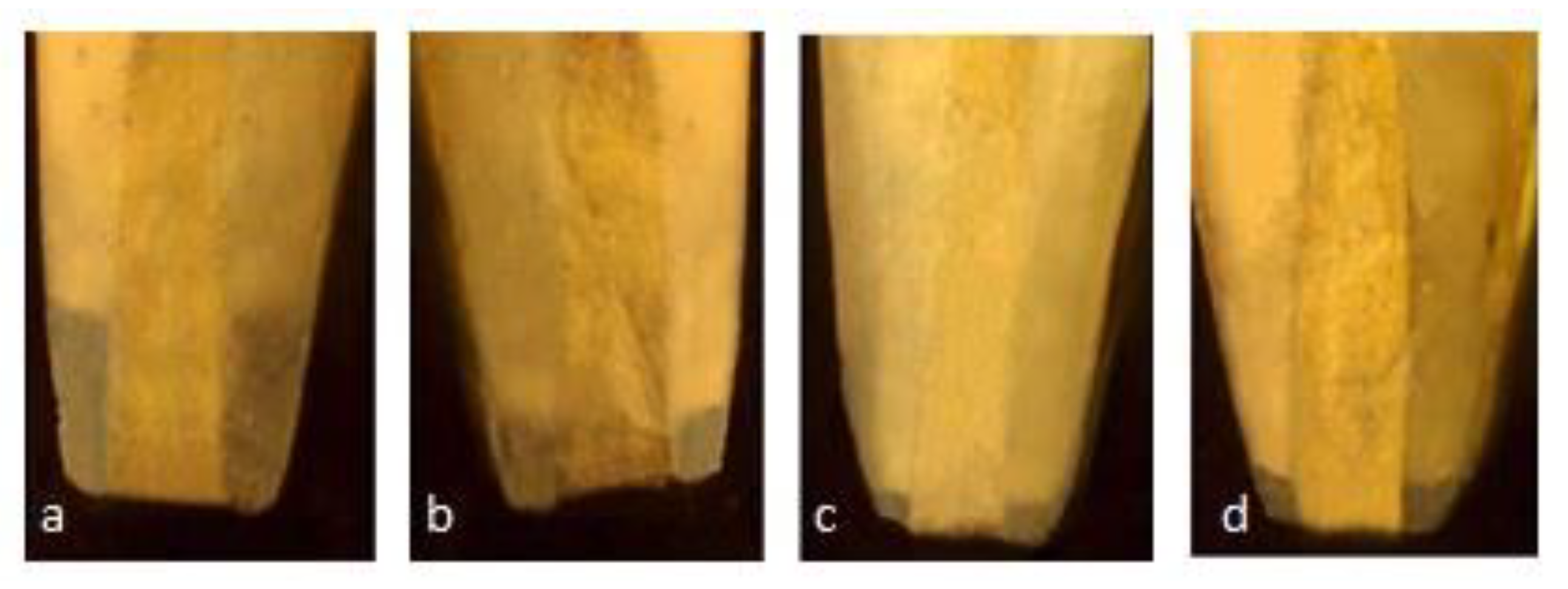 Materials 14 03159 g002 Materials 14 03159 g002