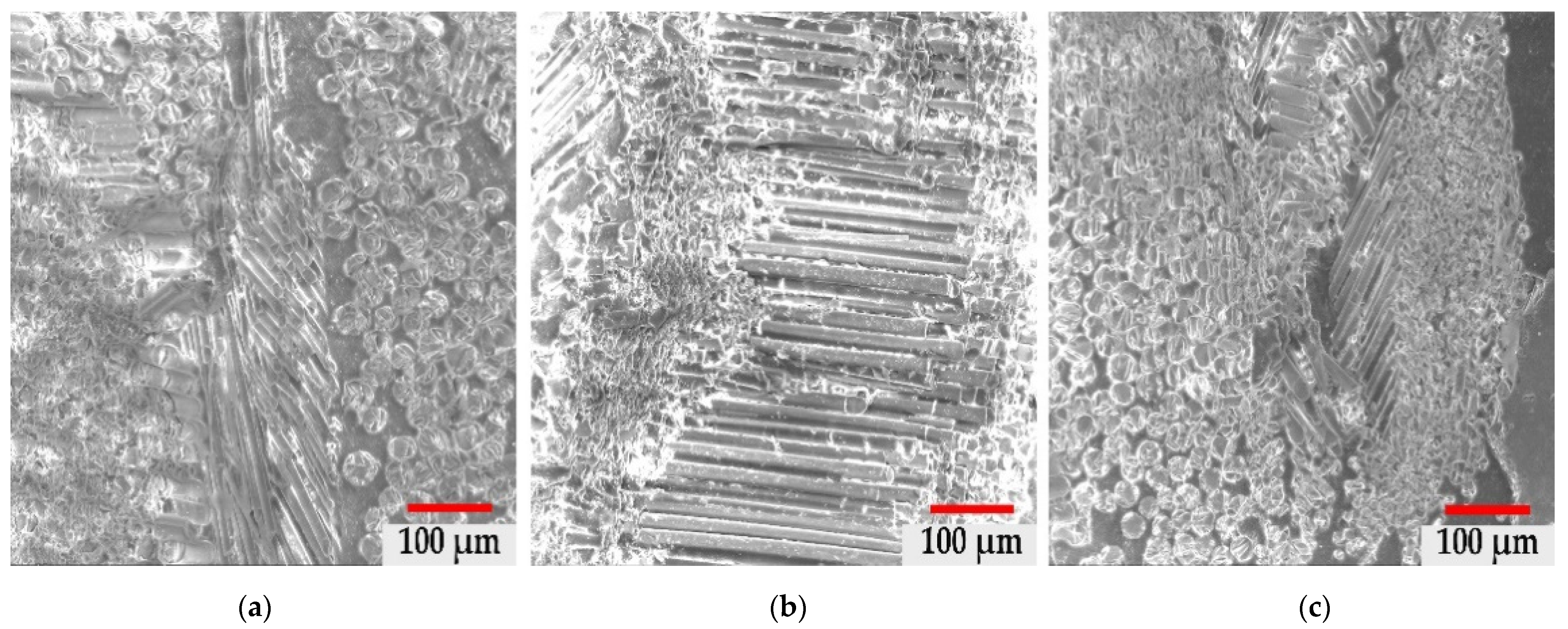 Materials 14 03160 g006