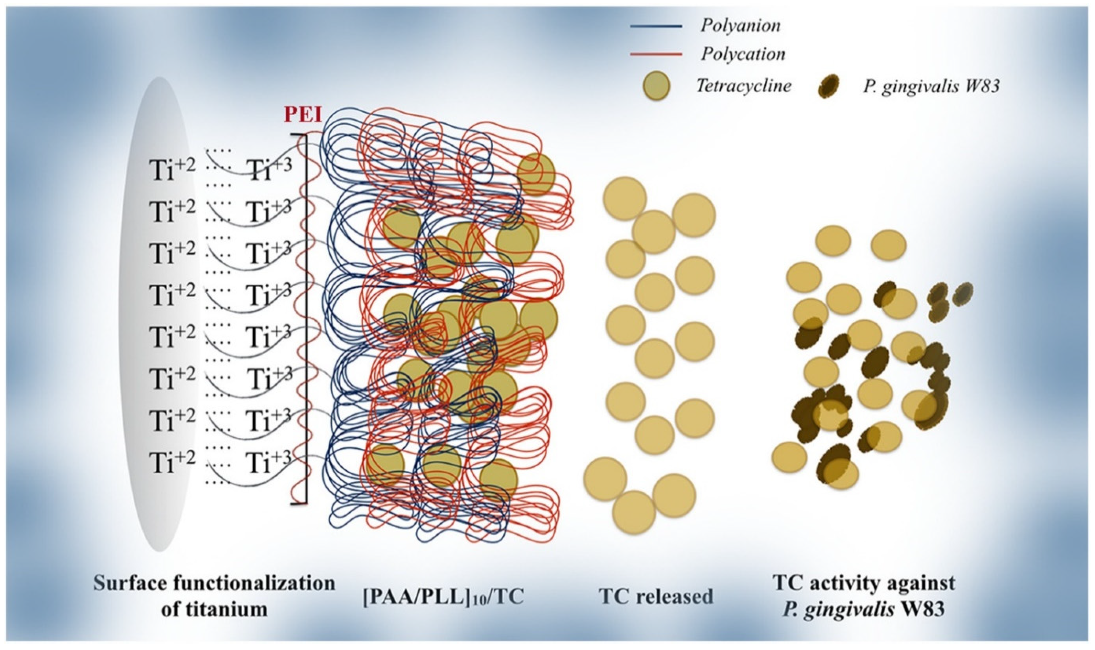 Materials 14 03167 g003 Materials 14 03167 g003