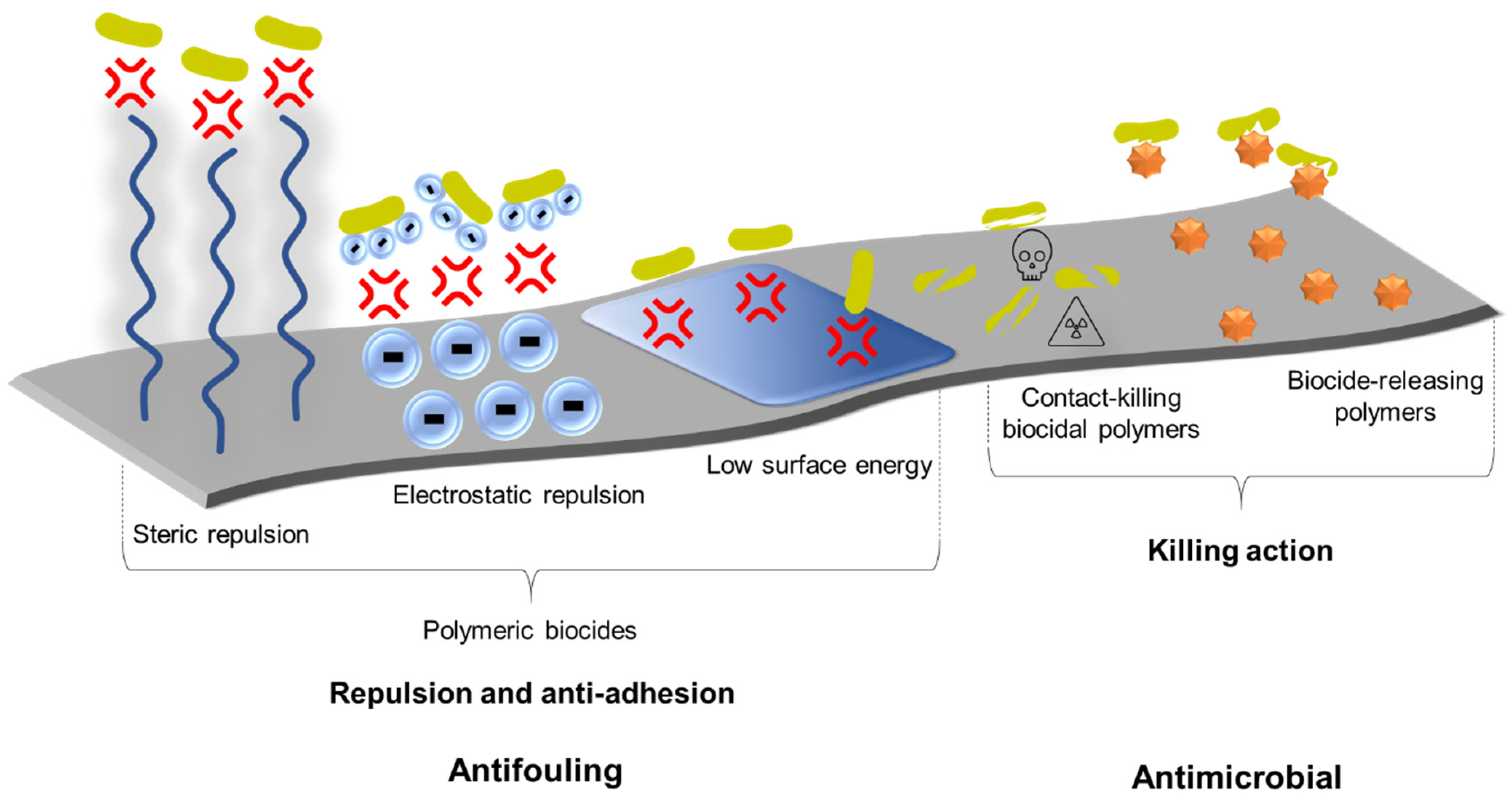 Materials 14 03167 g005 Materials 14 03167 g005