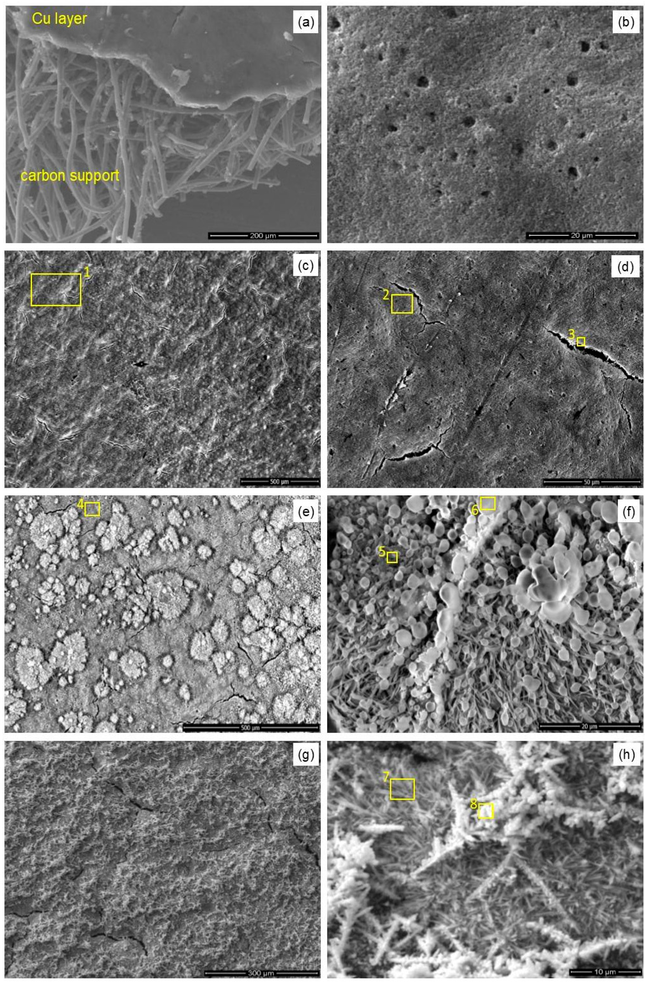 Materials 14 03171 g005