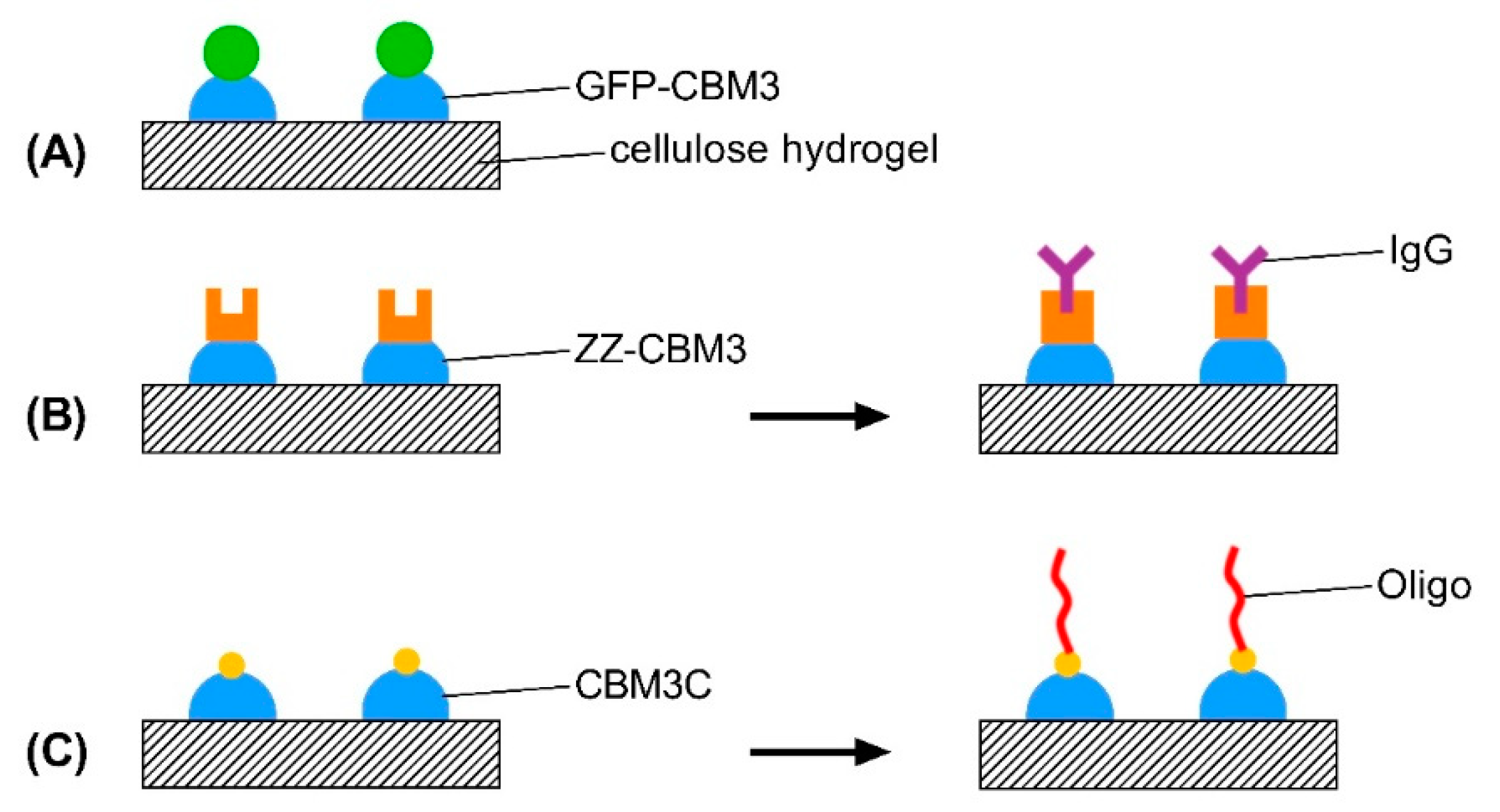 Materials 14 03175 g001 Materials 14 03175 g001