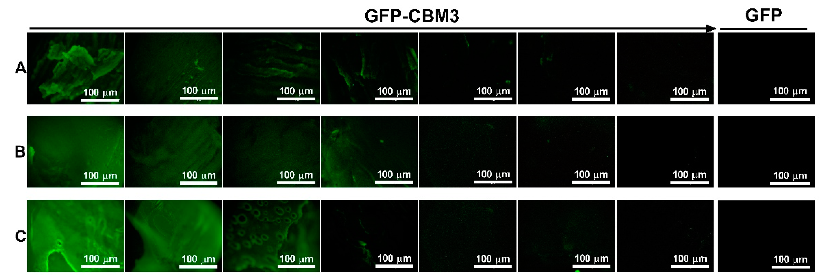 Materials 14 03175 g005 Materials 14 03175 g005