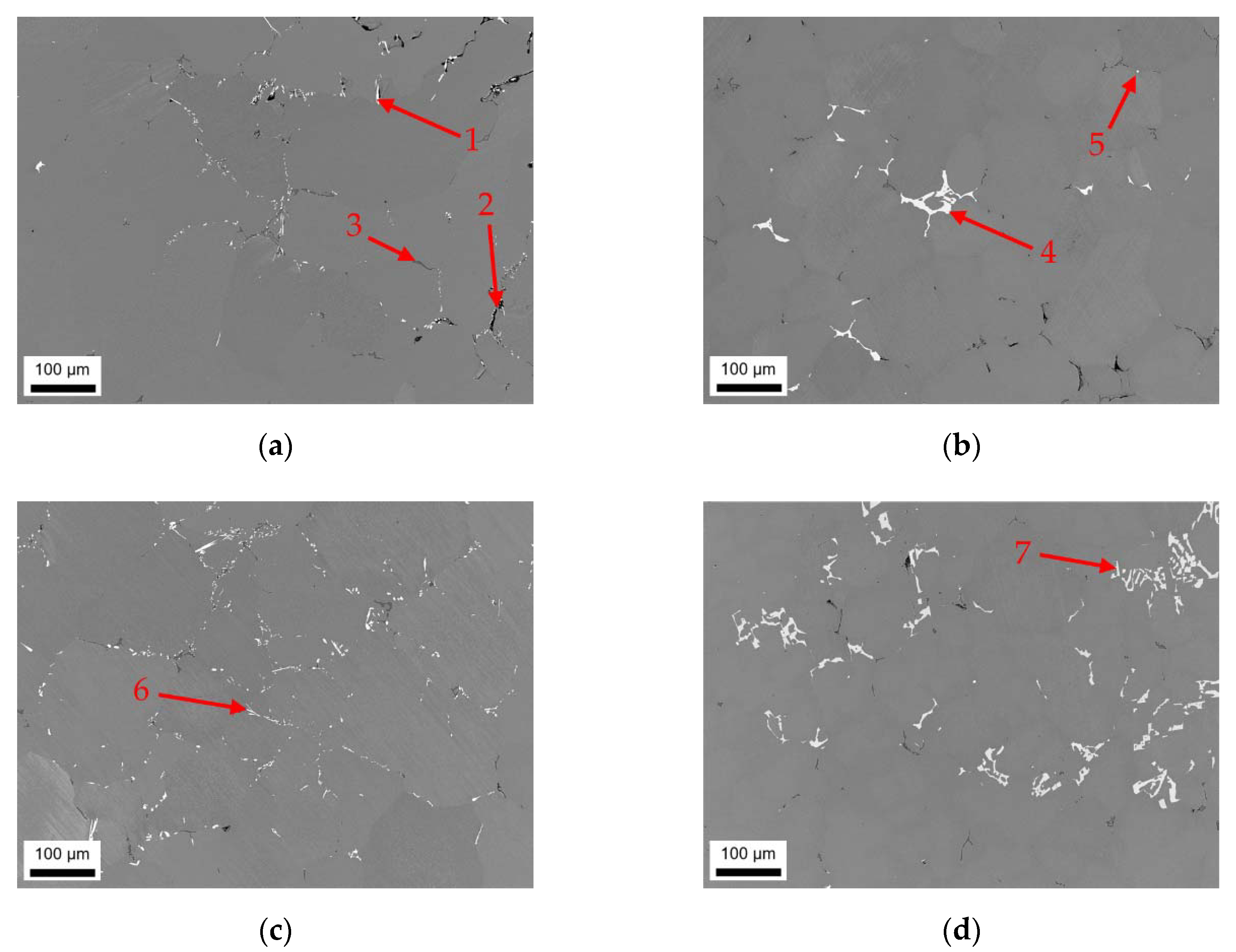 Materials 14 03204 g001