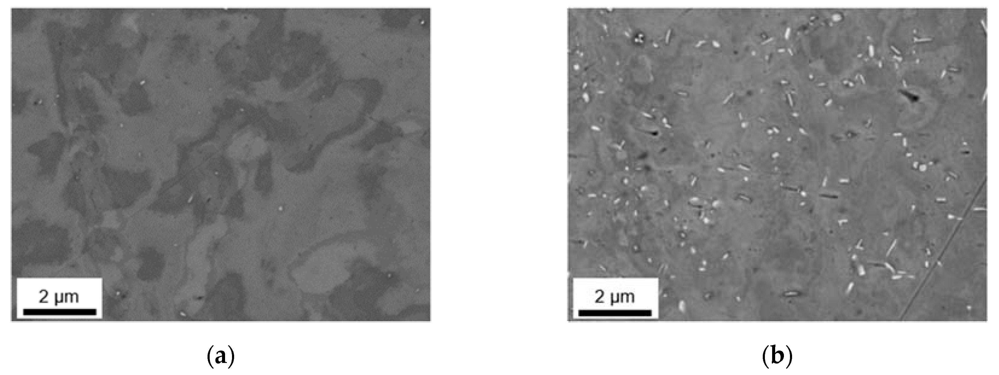 Materials 14 03204 g005a