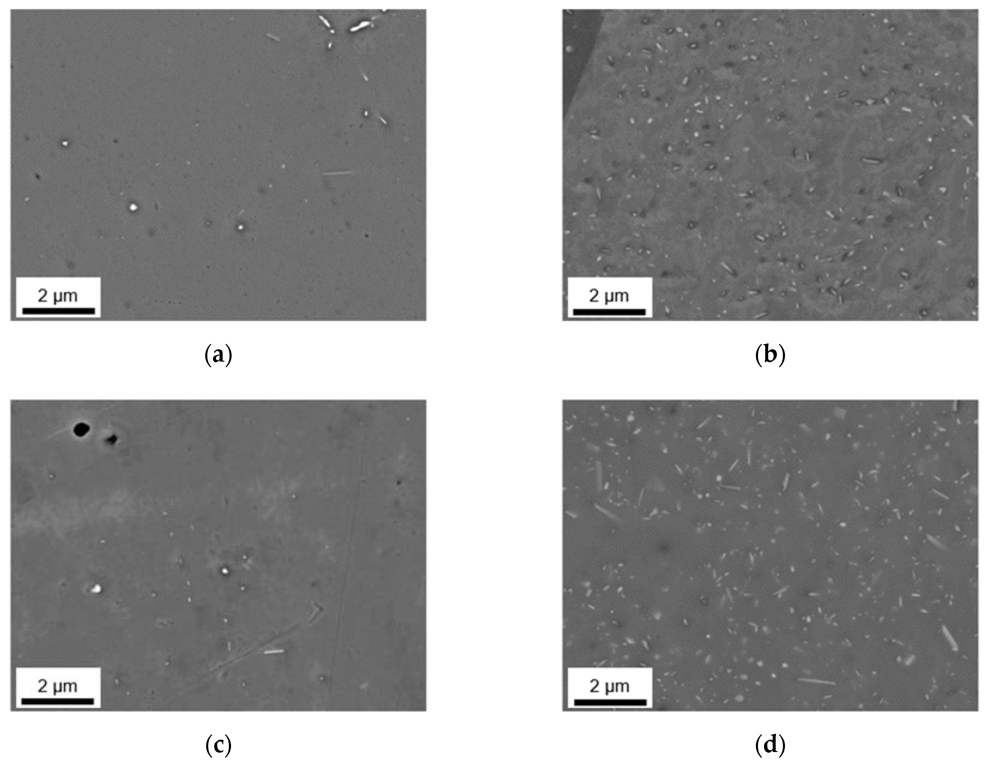 Materials 14 03204 g006