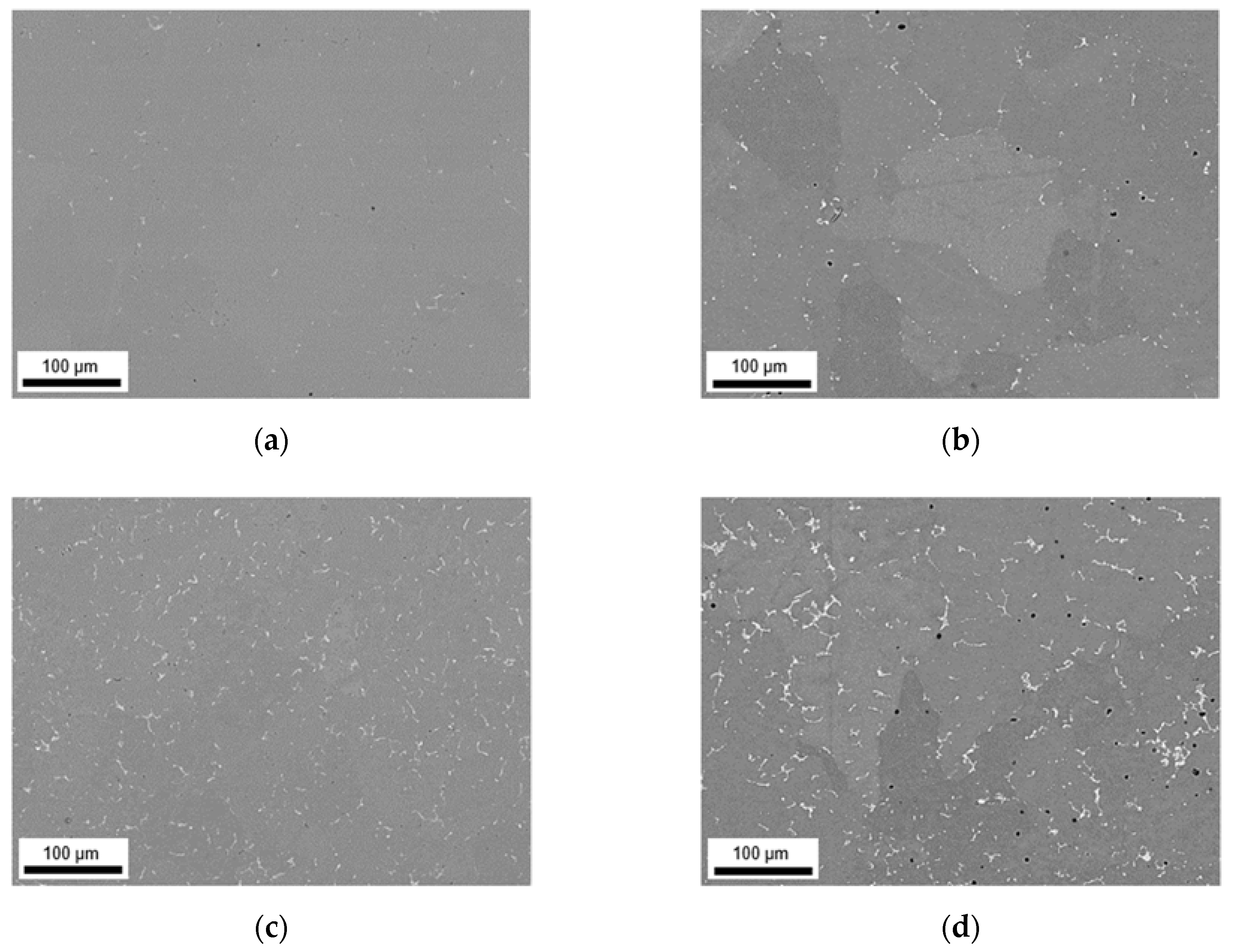 Materials 14 03204 g008