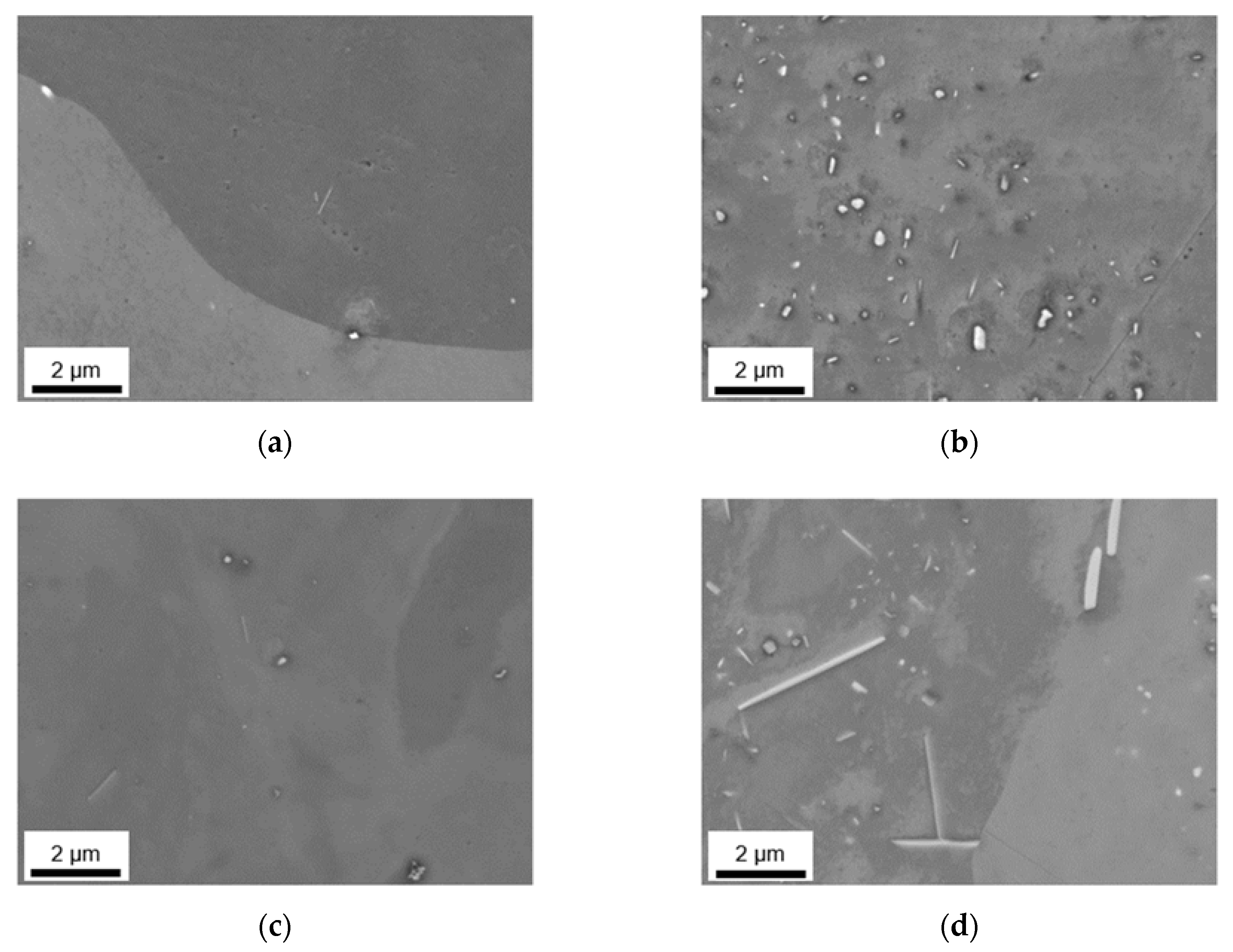 Materials 14 03204 g010