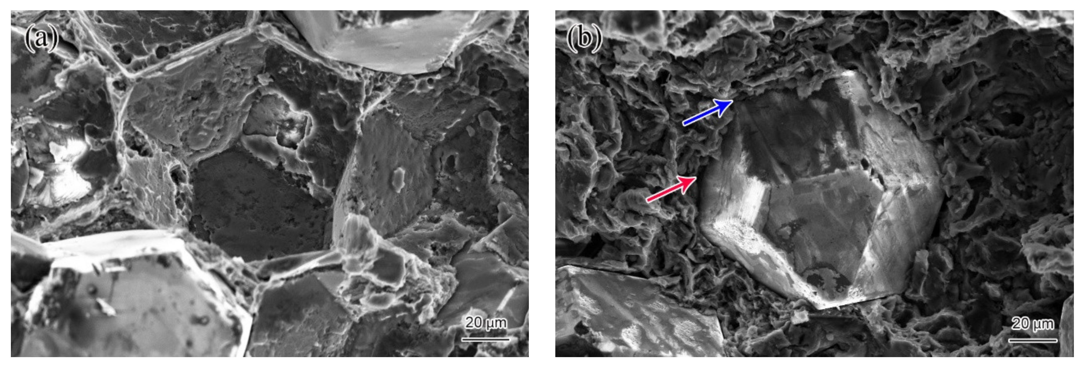 Materials 14 03205 g007 550