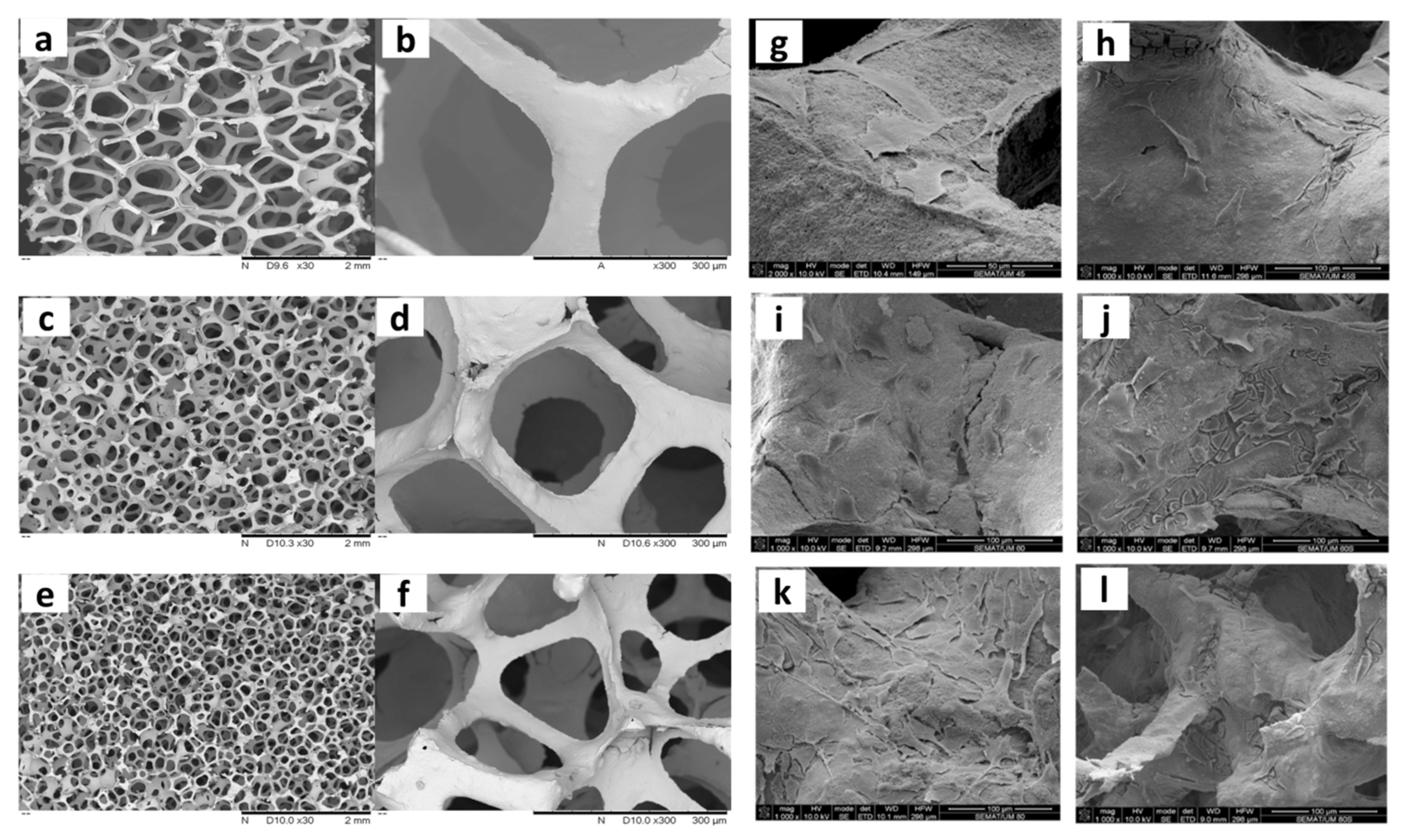 Materials 14 03207 g003 Materials 14 03207 g003