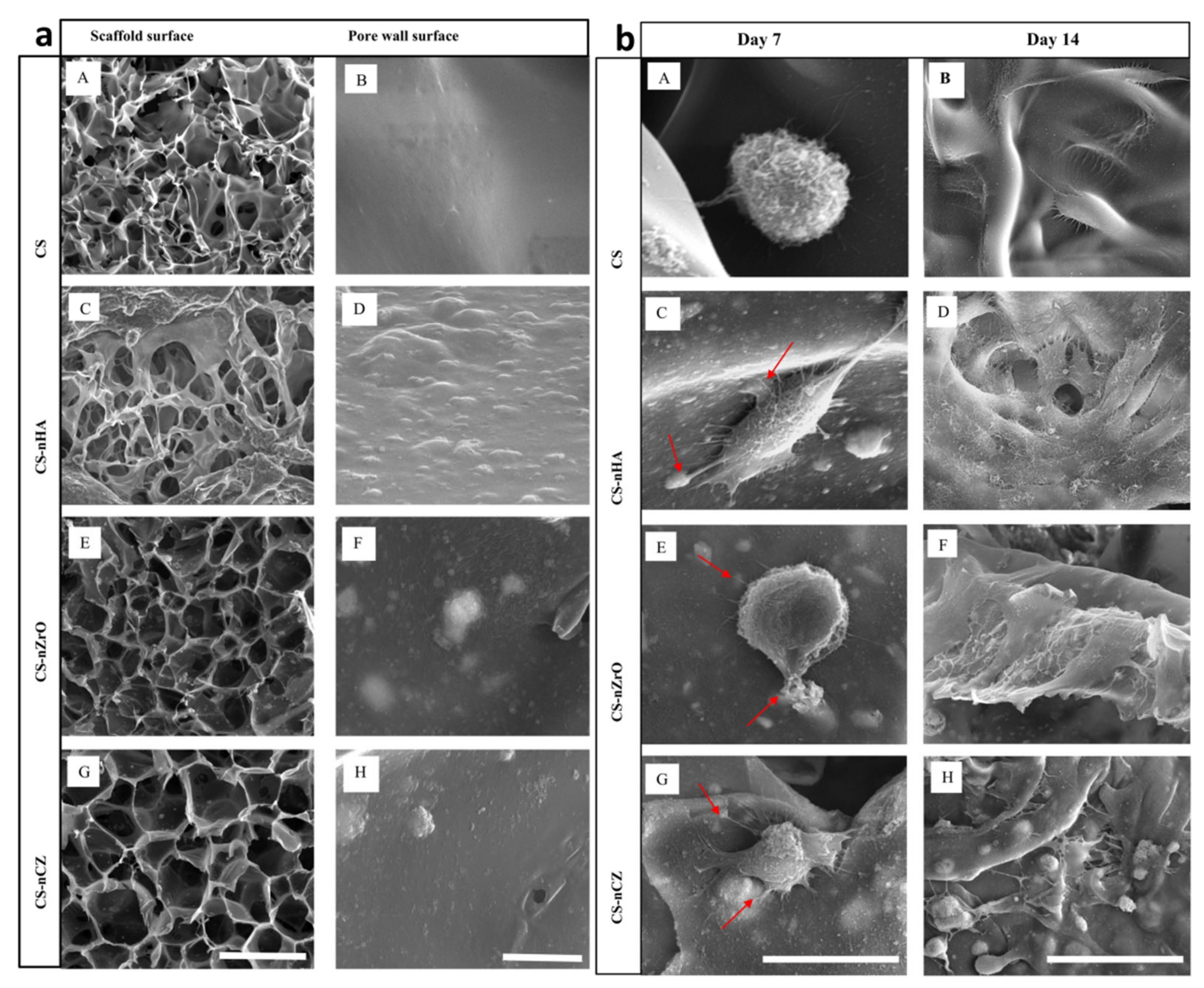 Materials 14 03207 g004 Materials 14 03207 g004