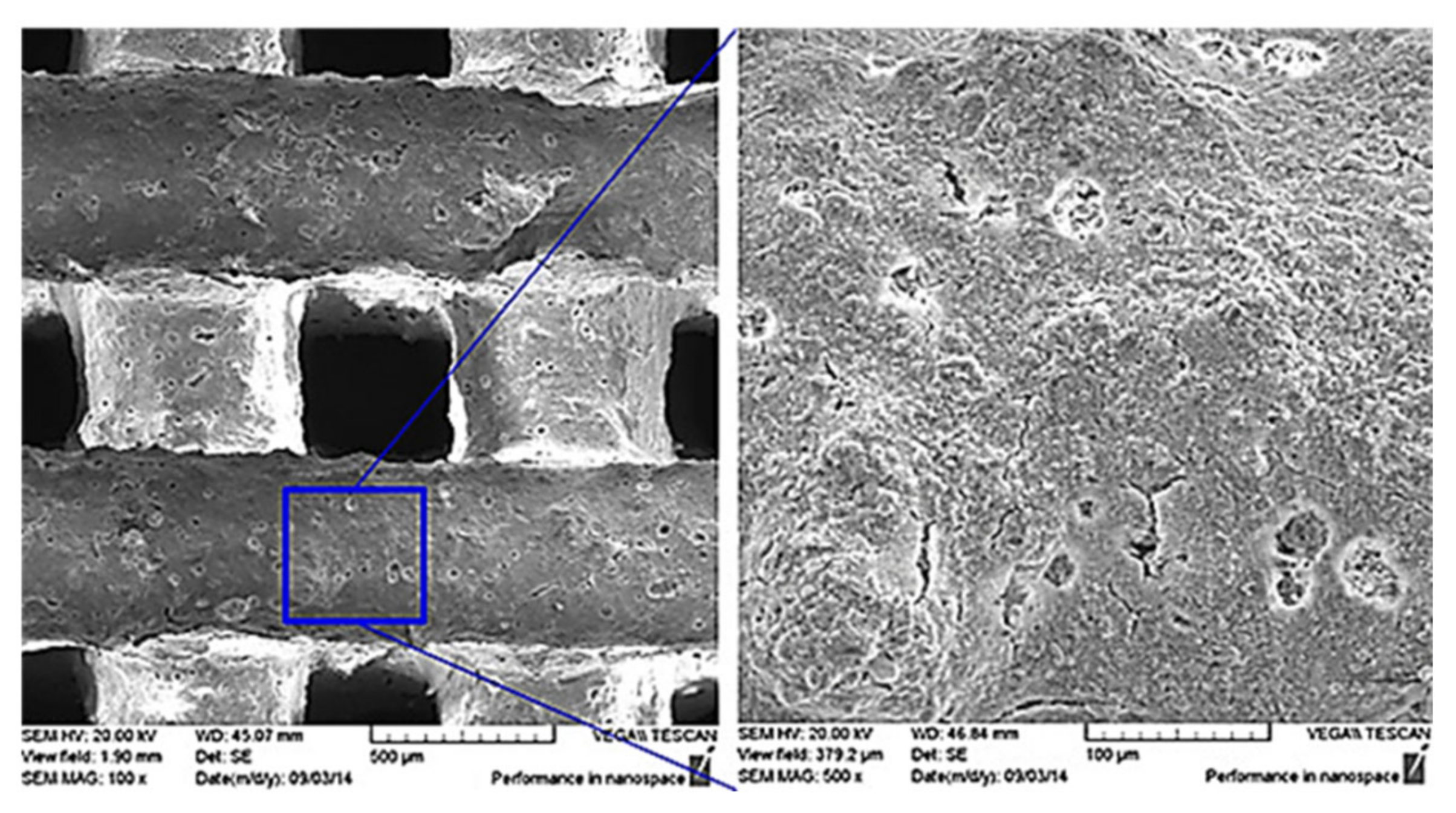 Materials 14 03207 g010 Materials 14 03207 g010