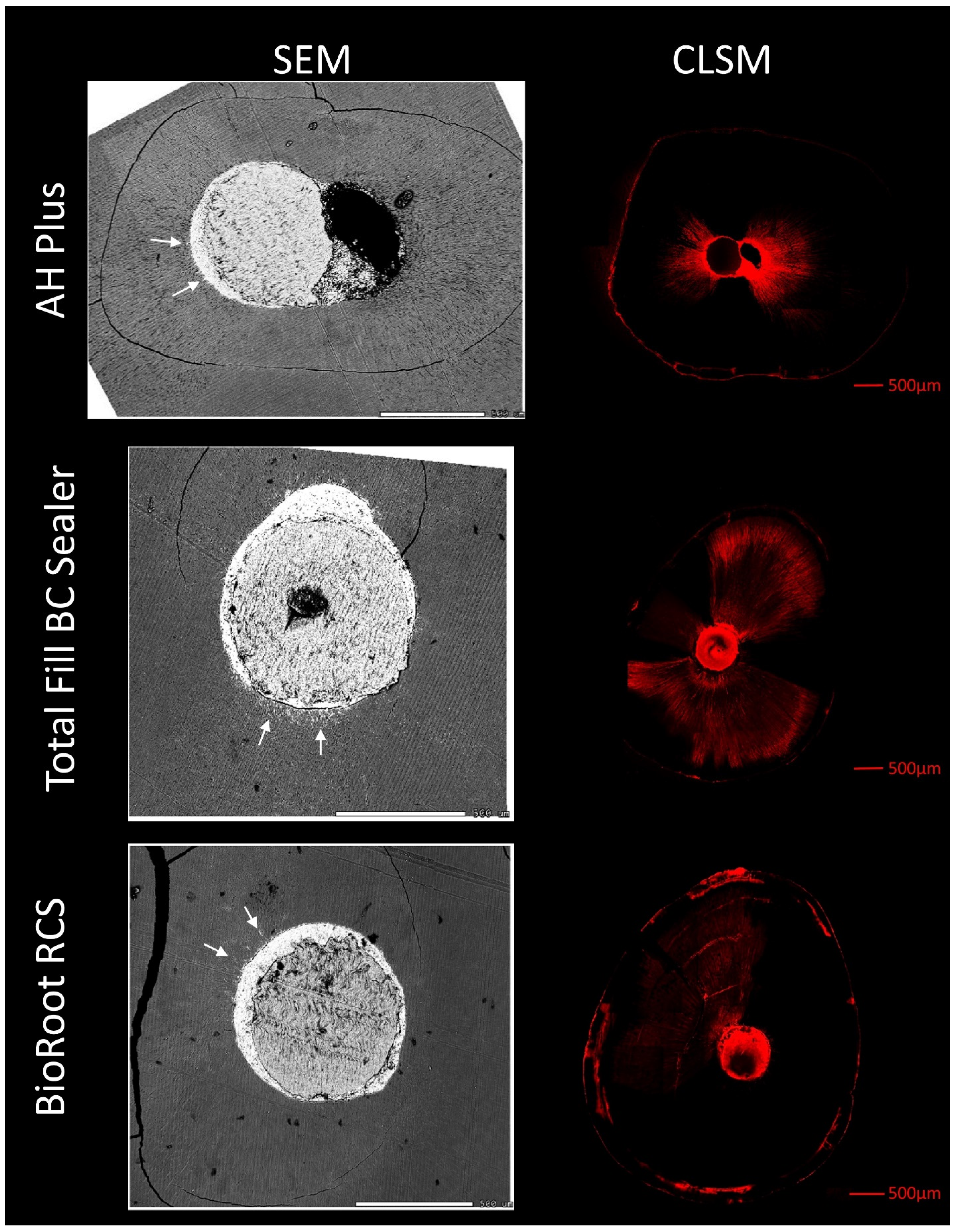 Materials 14 03211 g003 Materials 14 03211 g003