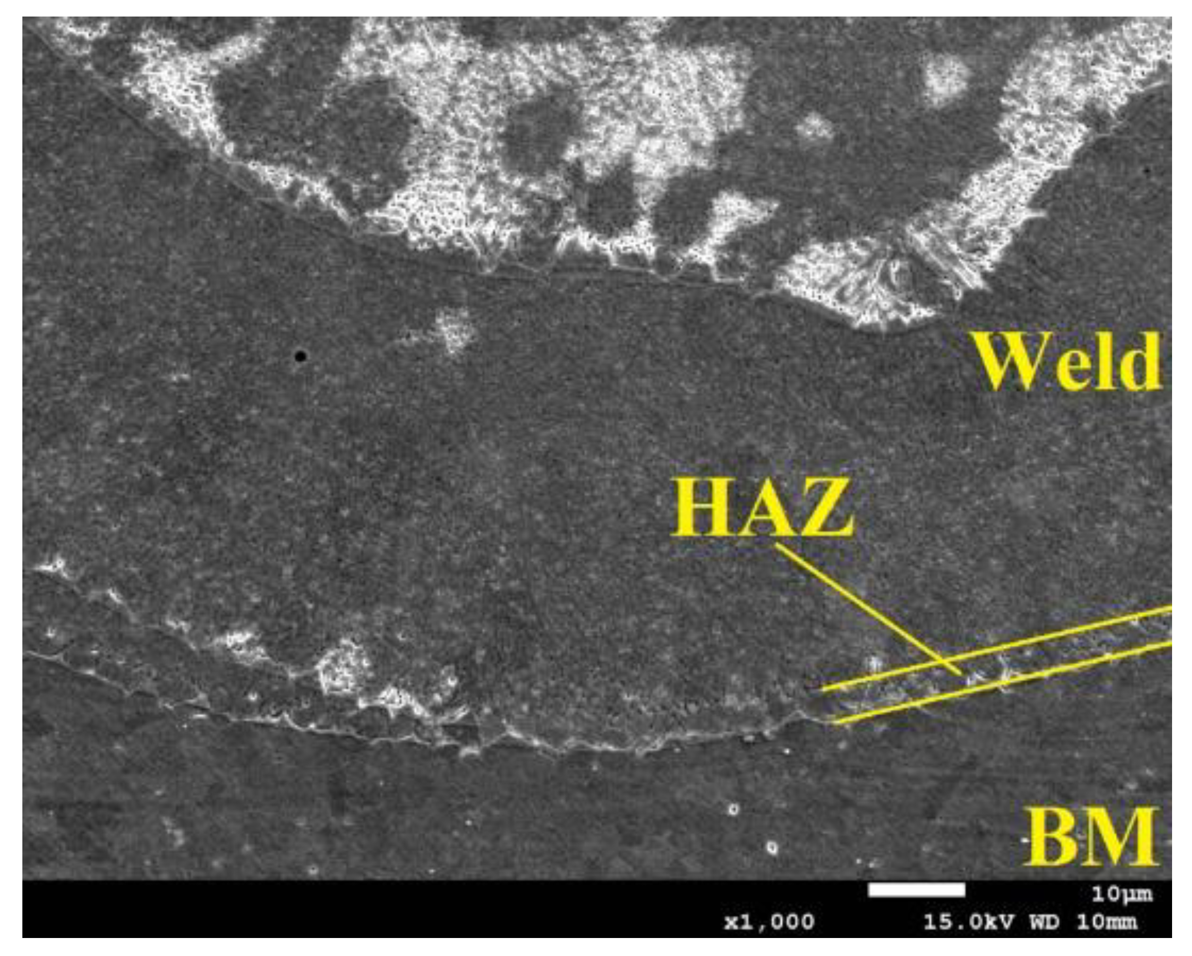 Materials 14 03213 g007