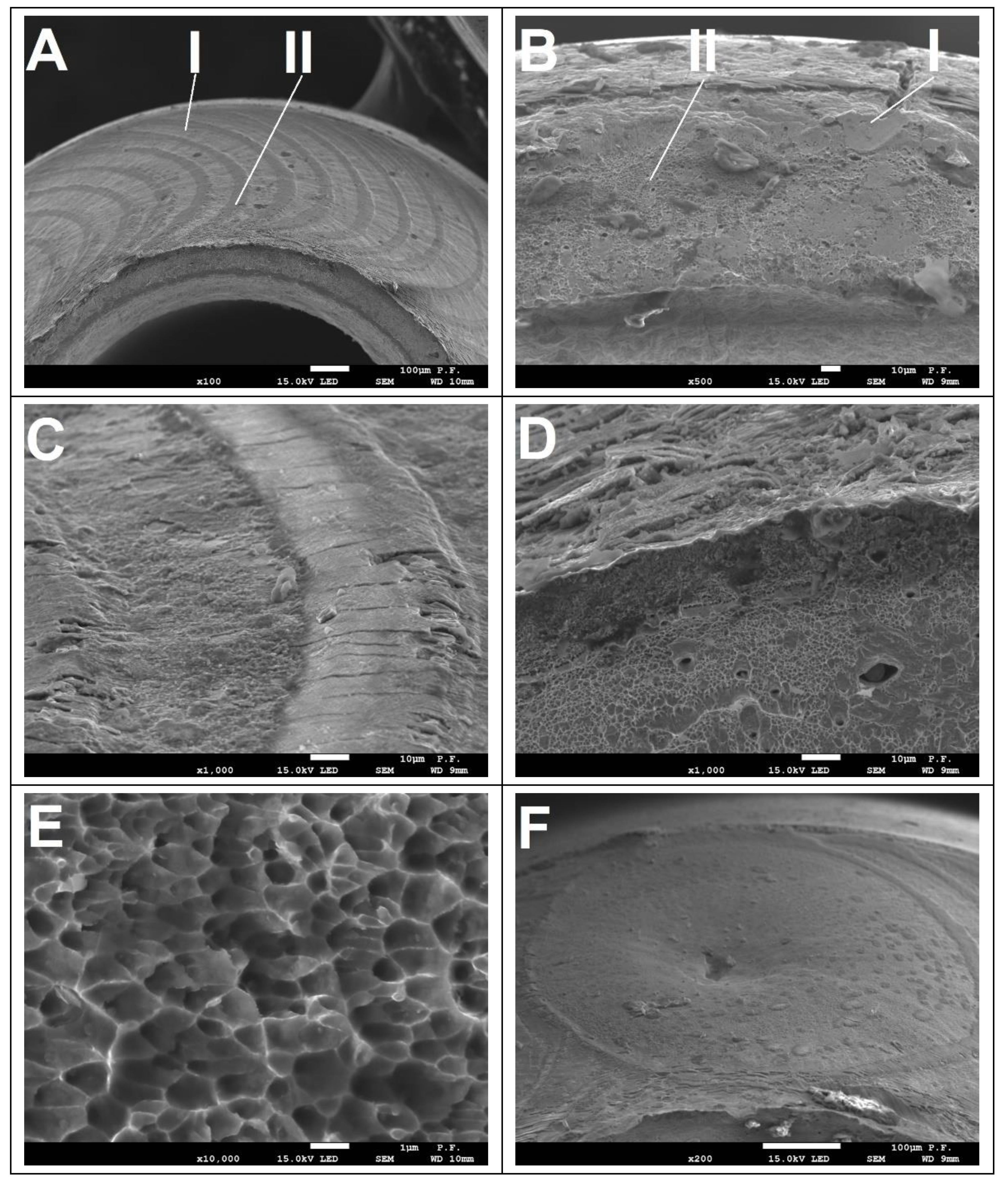 Materials 14 03213 g012
