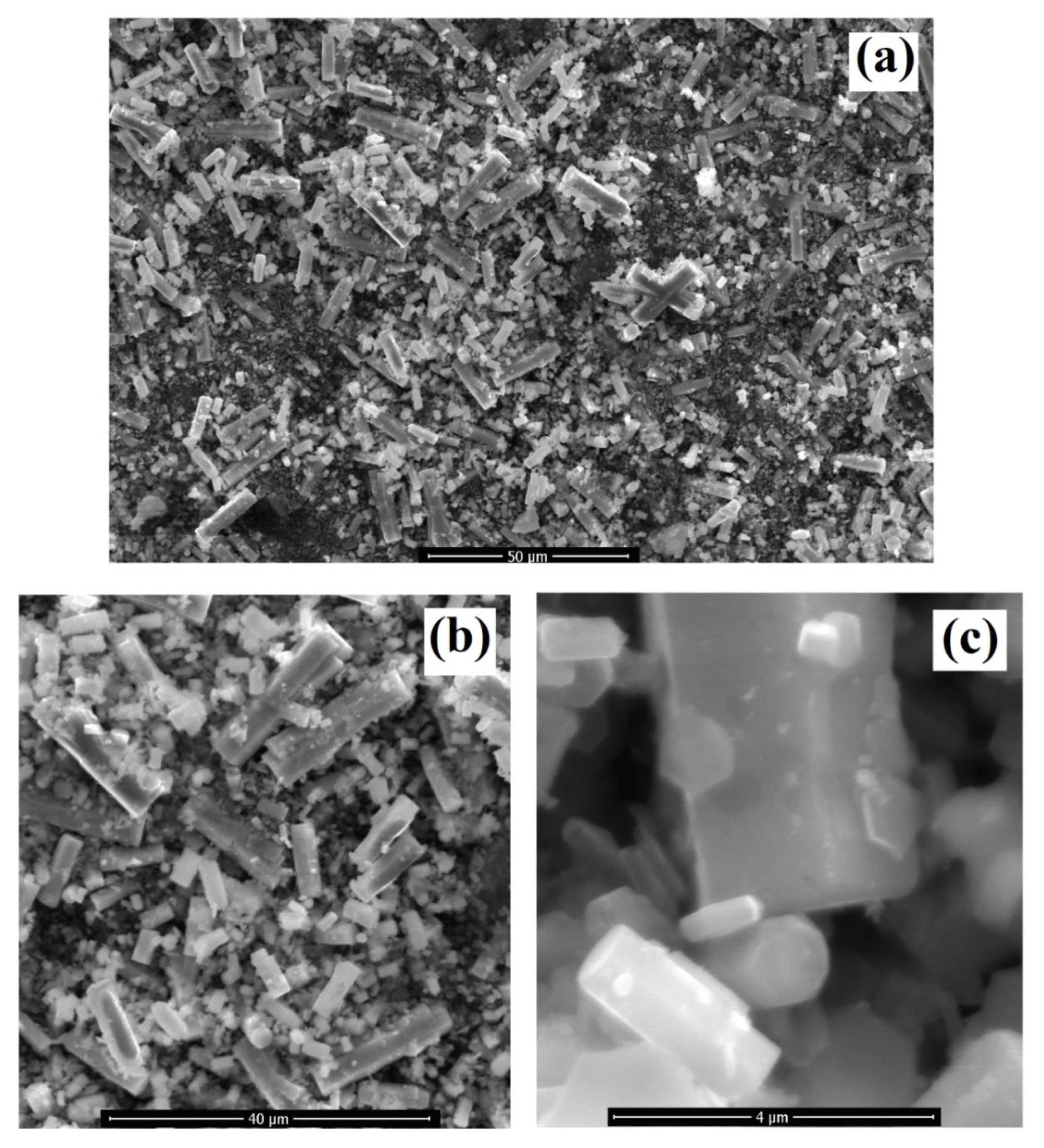 Materials 14 03223 g002
