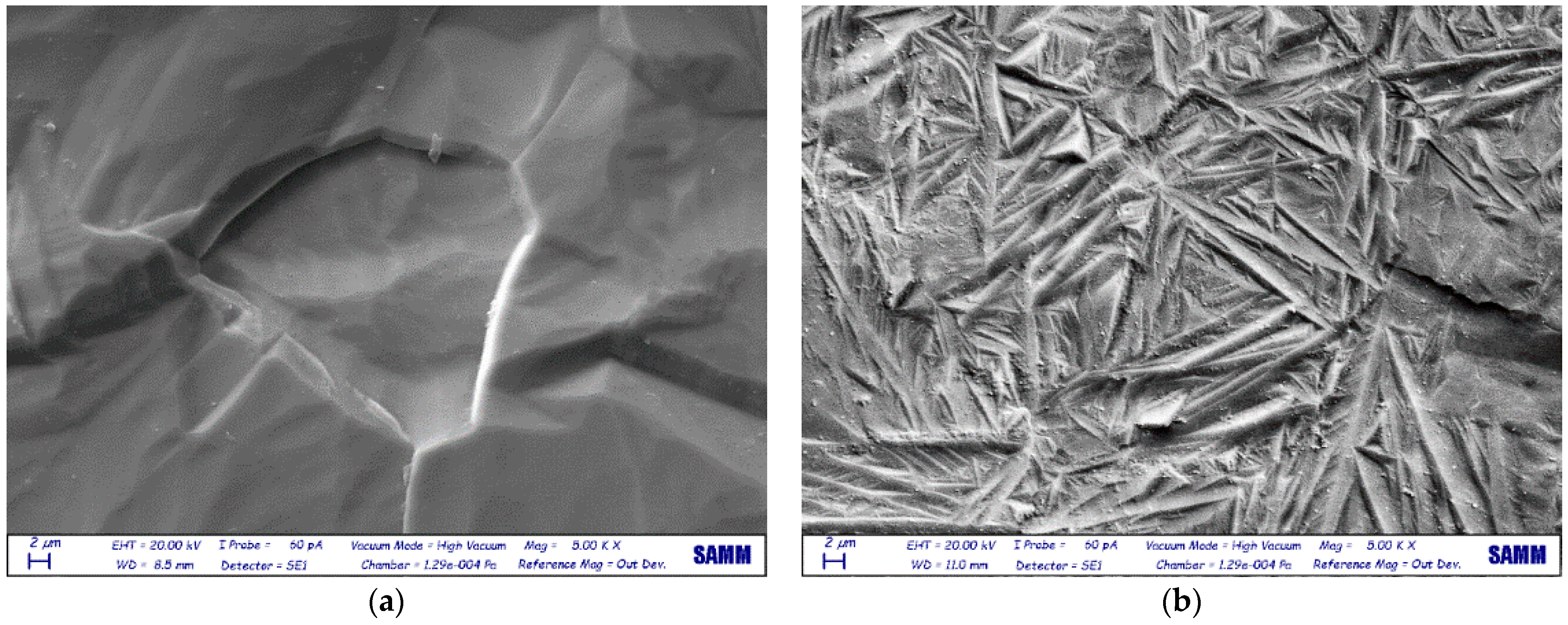 Materials 14 03238 g003