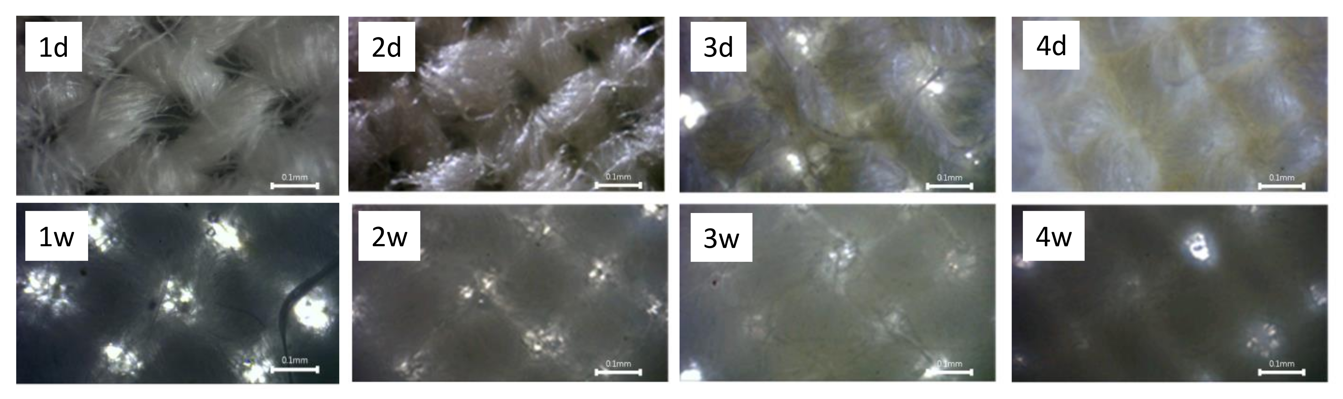 Materials 14 03242 g002 Materials 14 03242 g002