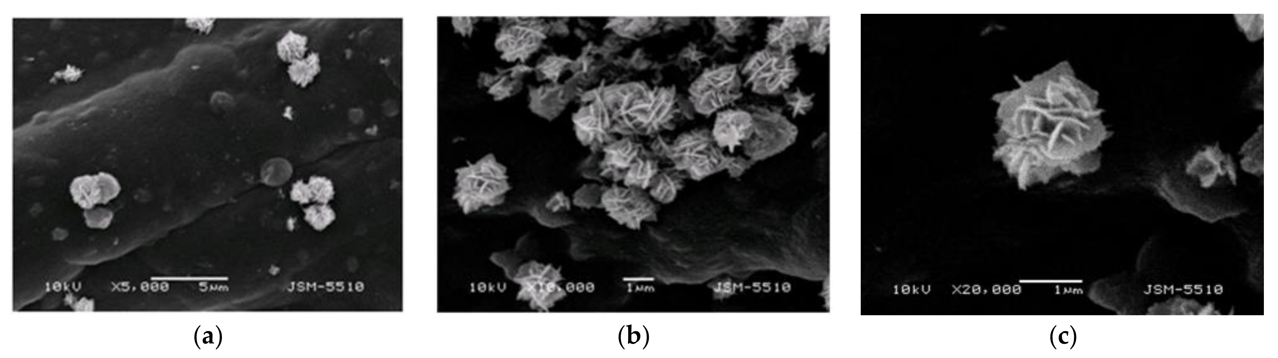 Materials 14 03242 g004 Materials 14 03242 g004