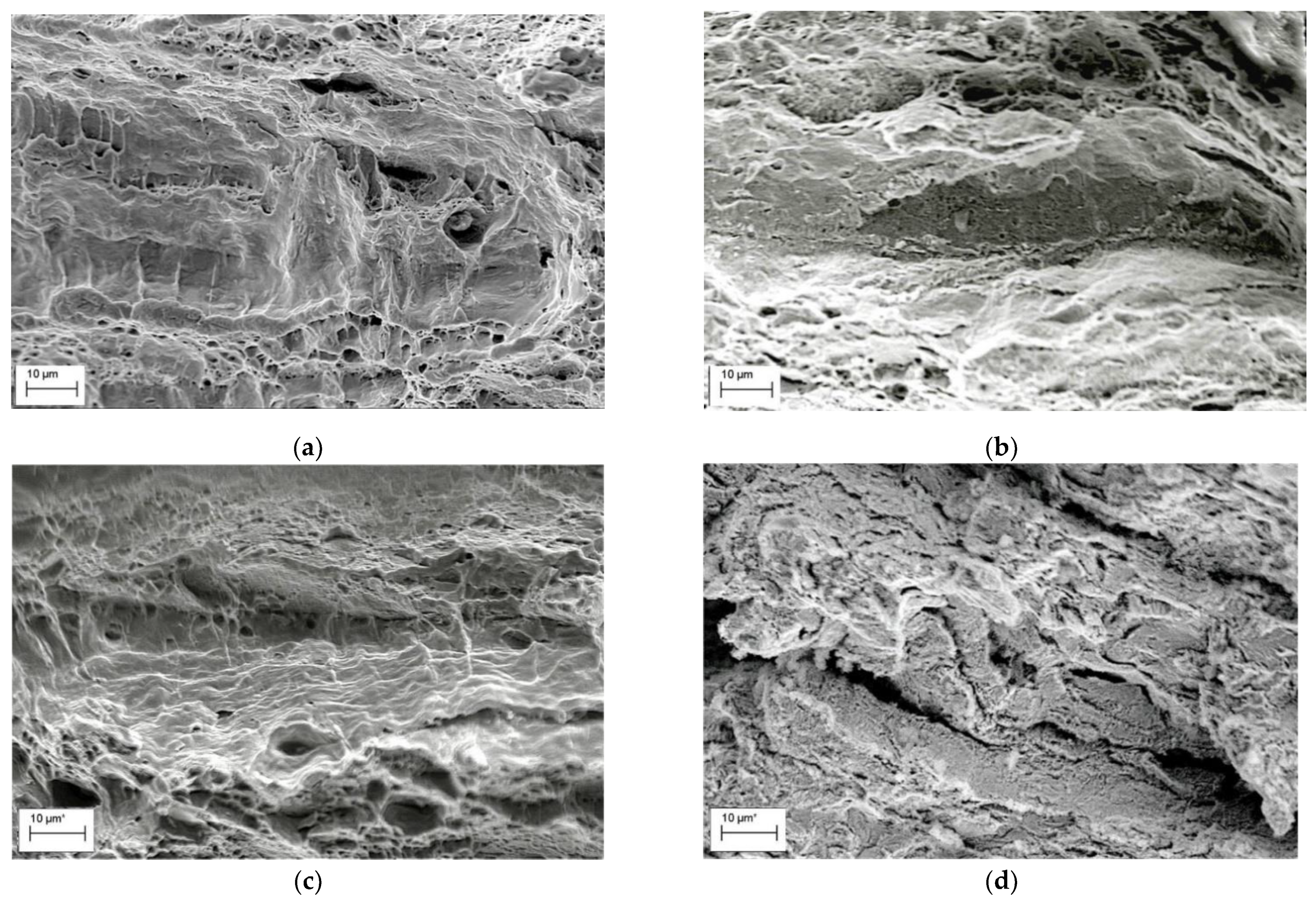 Materials 14 03247 g004