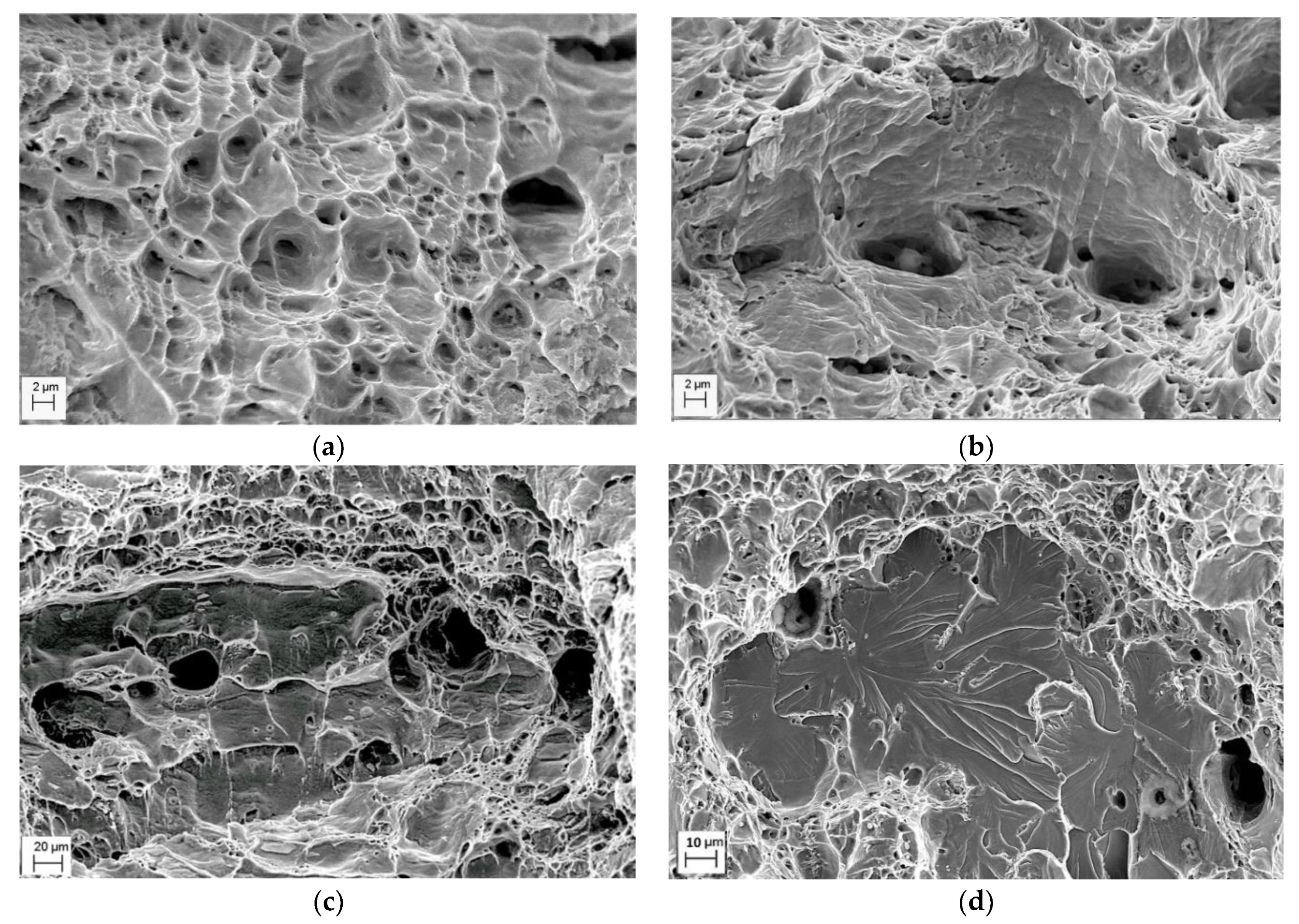 Materials 14 03247 g005