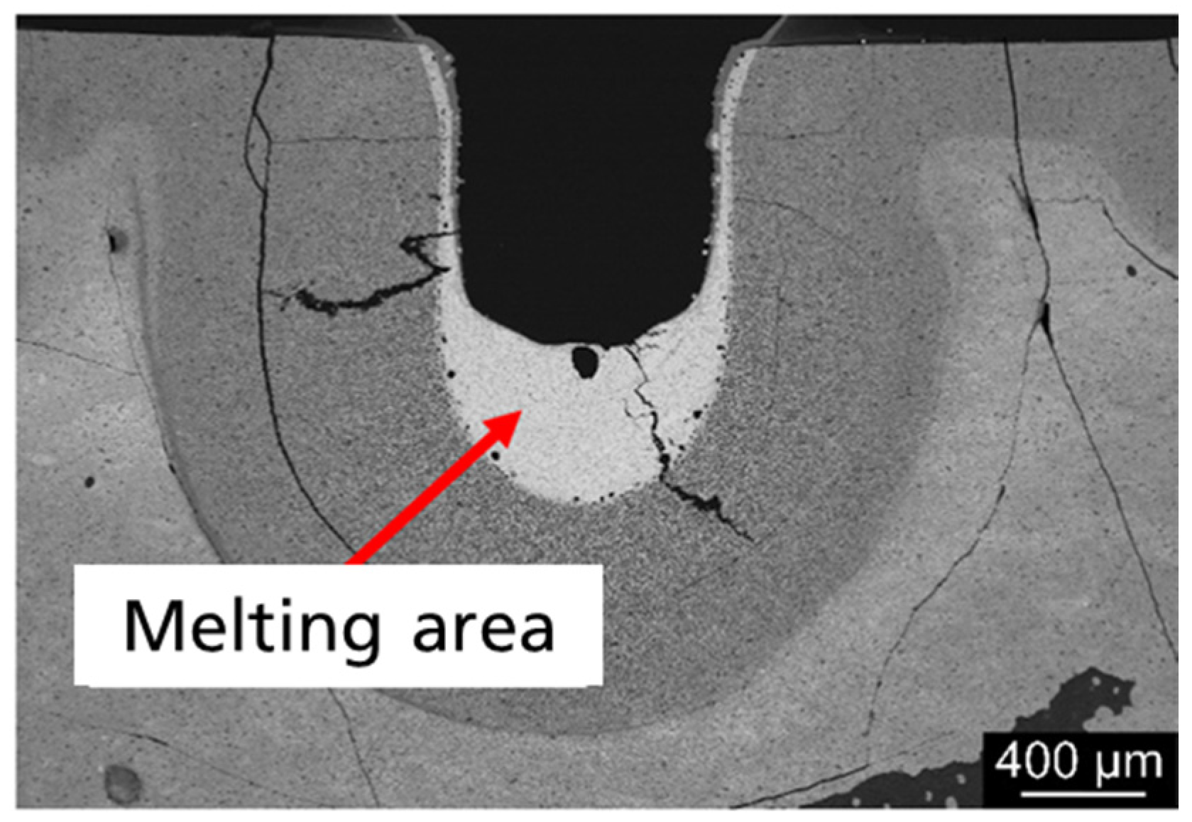 Materials 14 03248 g004 550