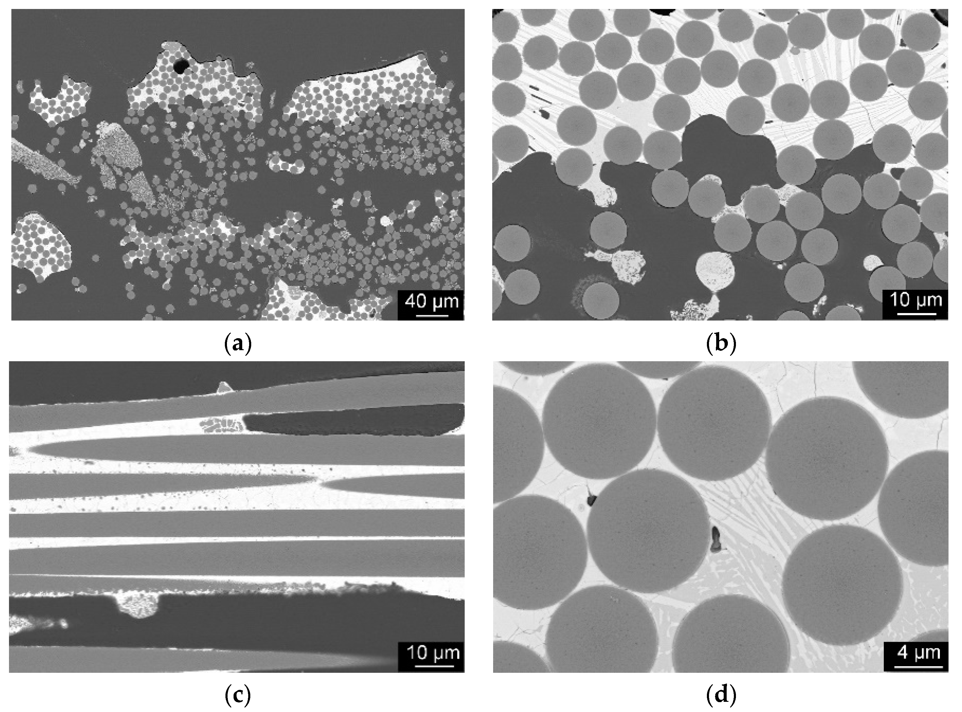 Materials 14 03248 g011 550