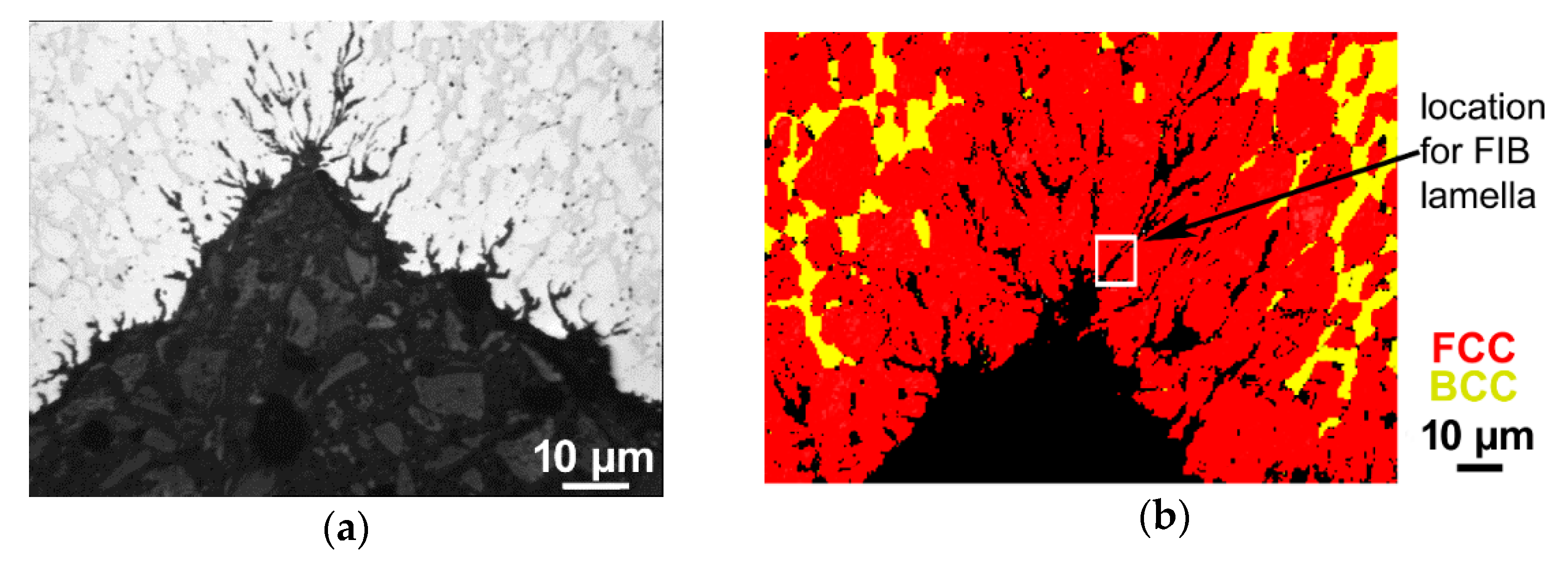 Materials 14 03255 g004