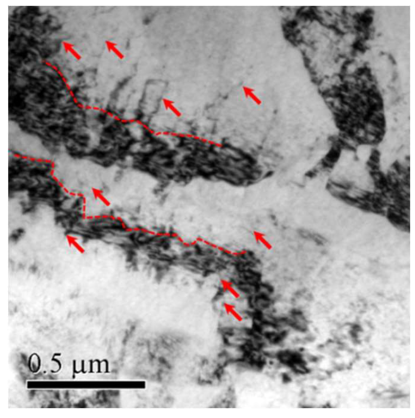 Materials 14 03262 g005 Materials 14 03262 g005