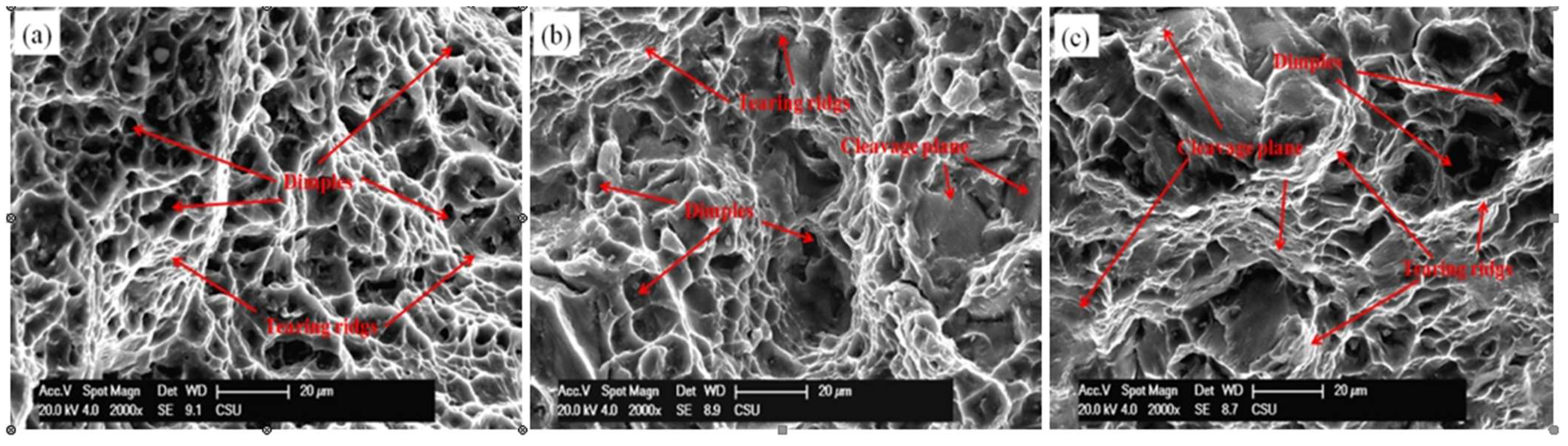 Materials 14 03262 g007 Materials 14 03262 g007