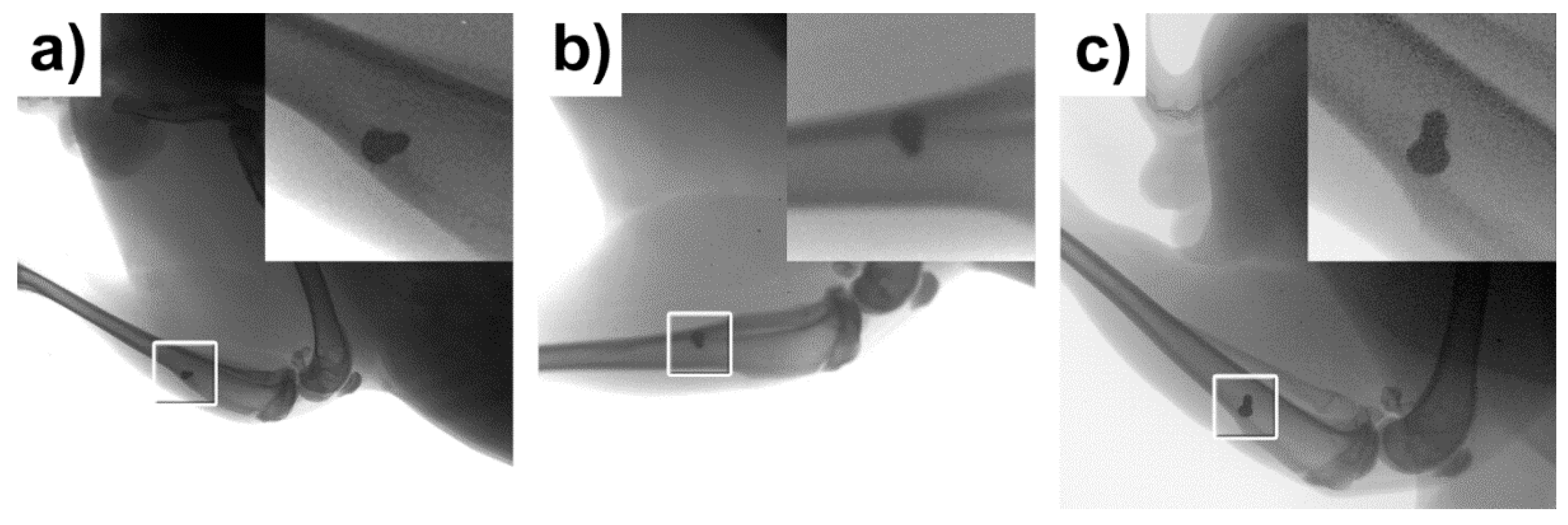 Materials 14 03271 g002