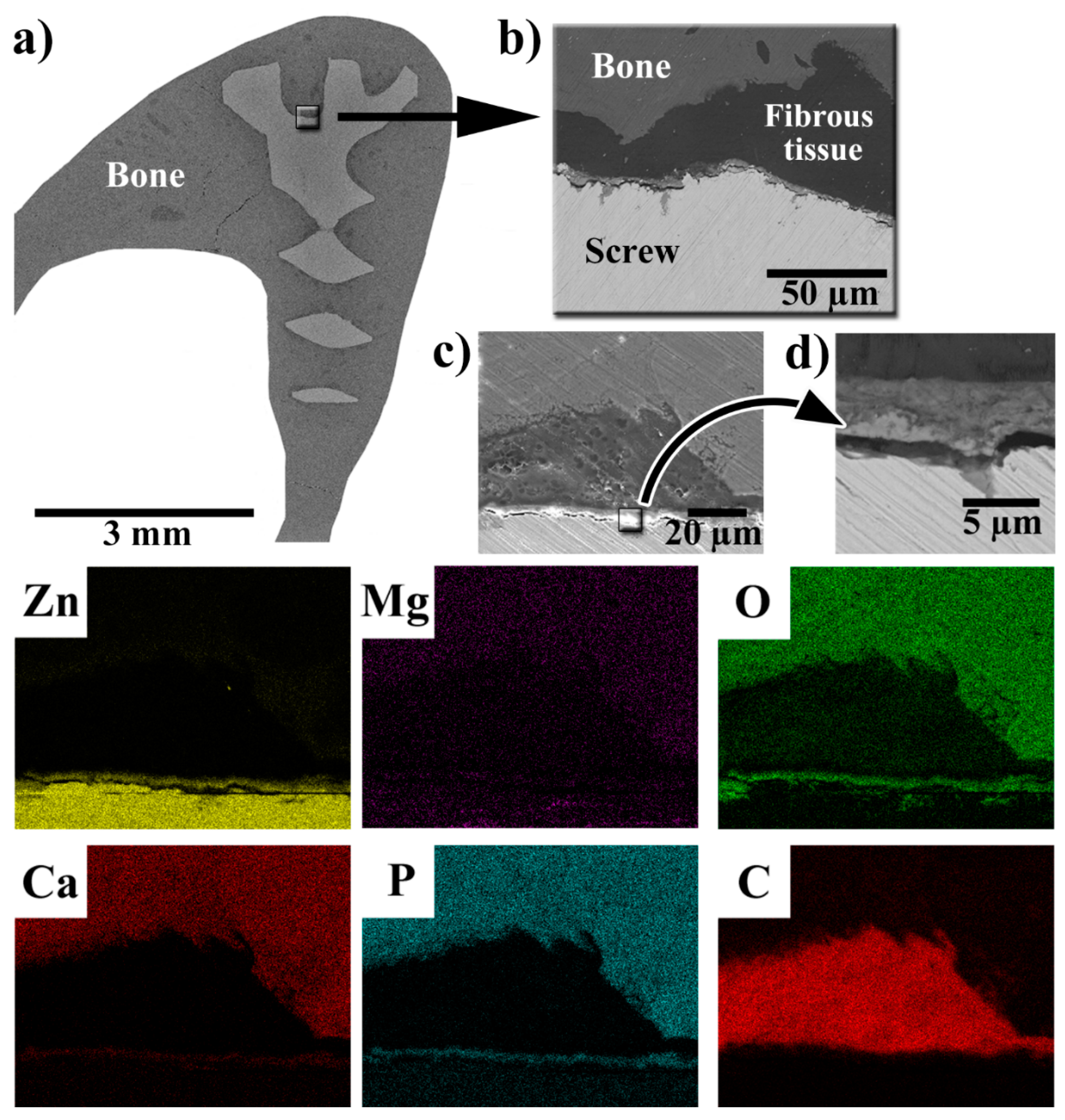 Materials 14 03271 g004