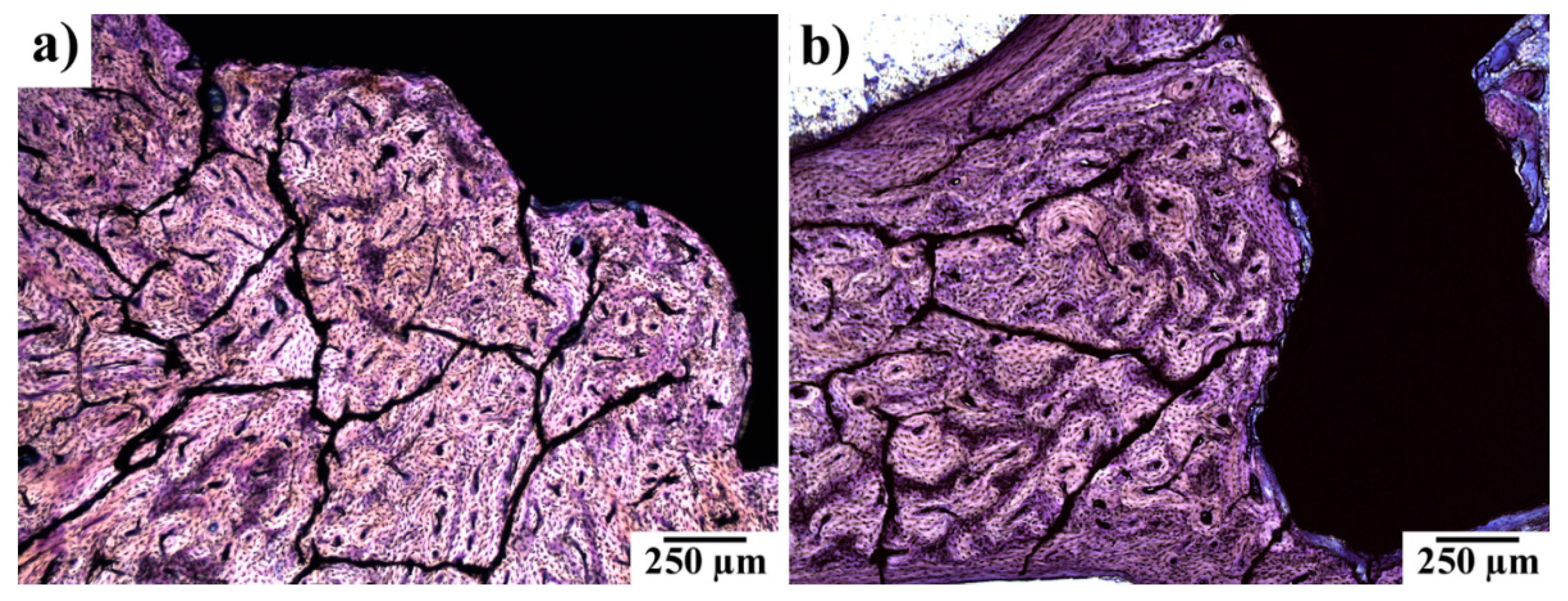 Materials 14 03271 g005