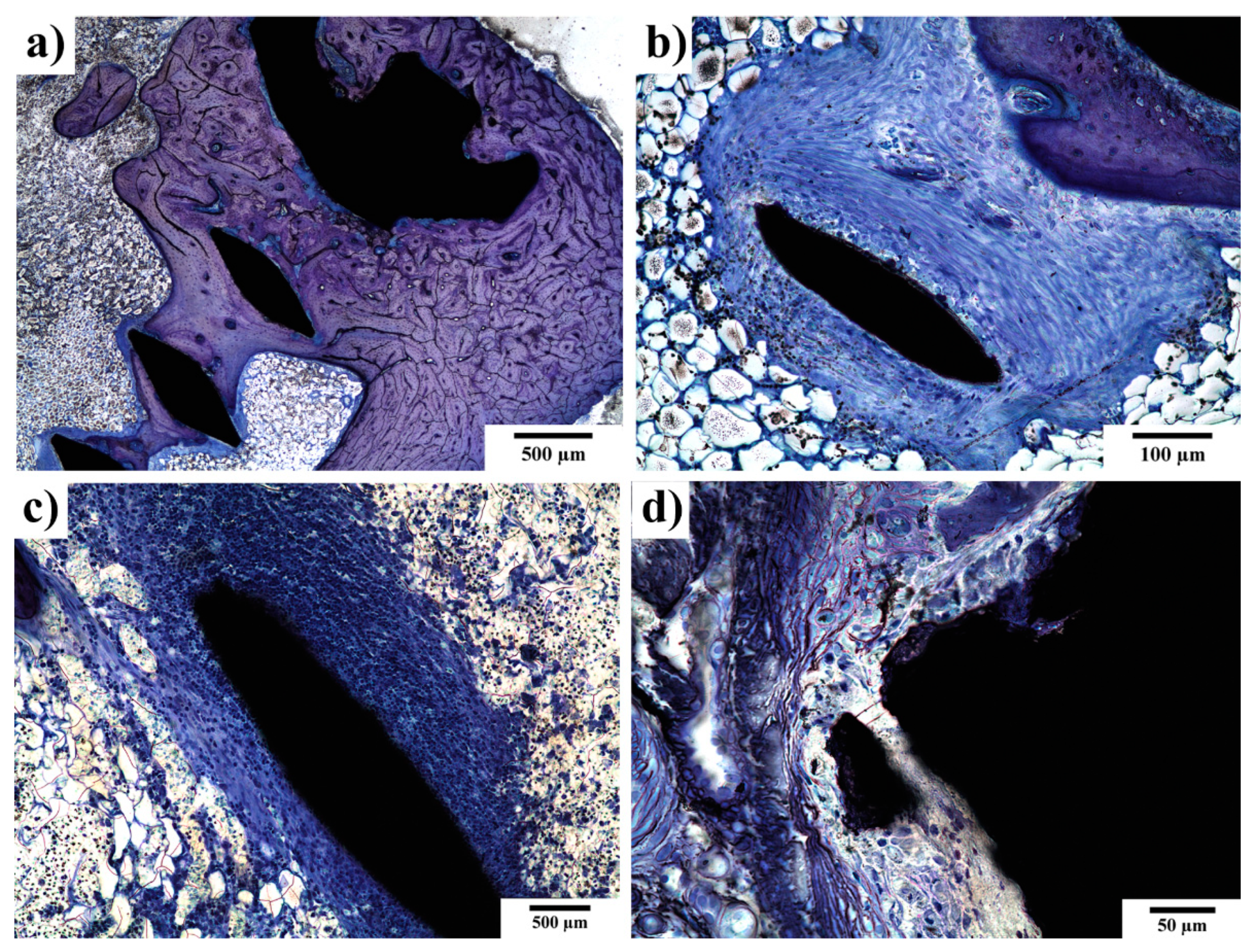 Materials 14 03271 g007