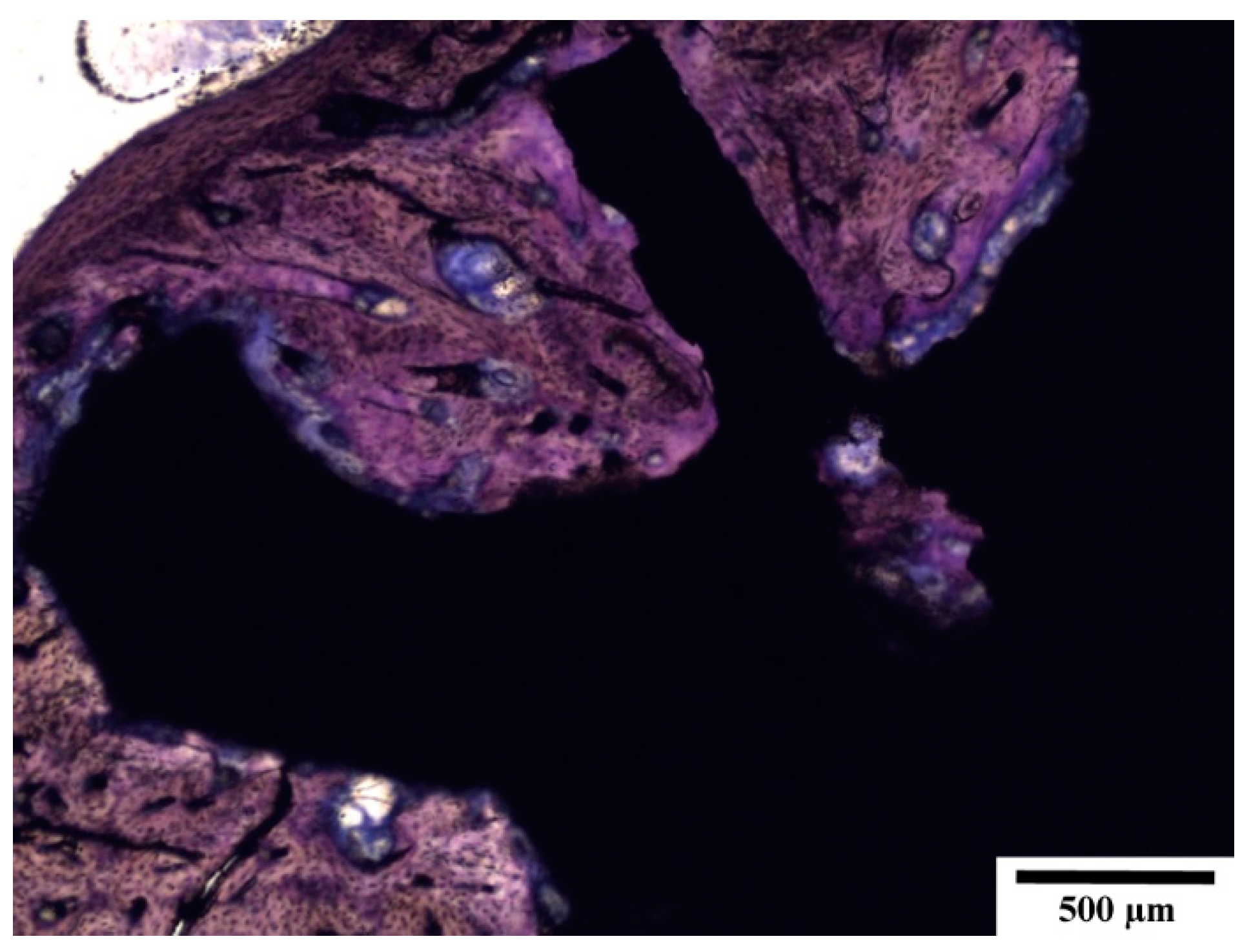 Materials 14 03271 g008