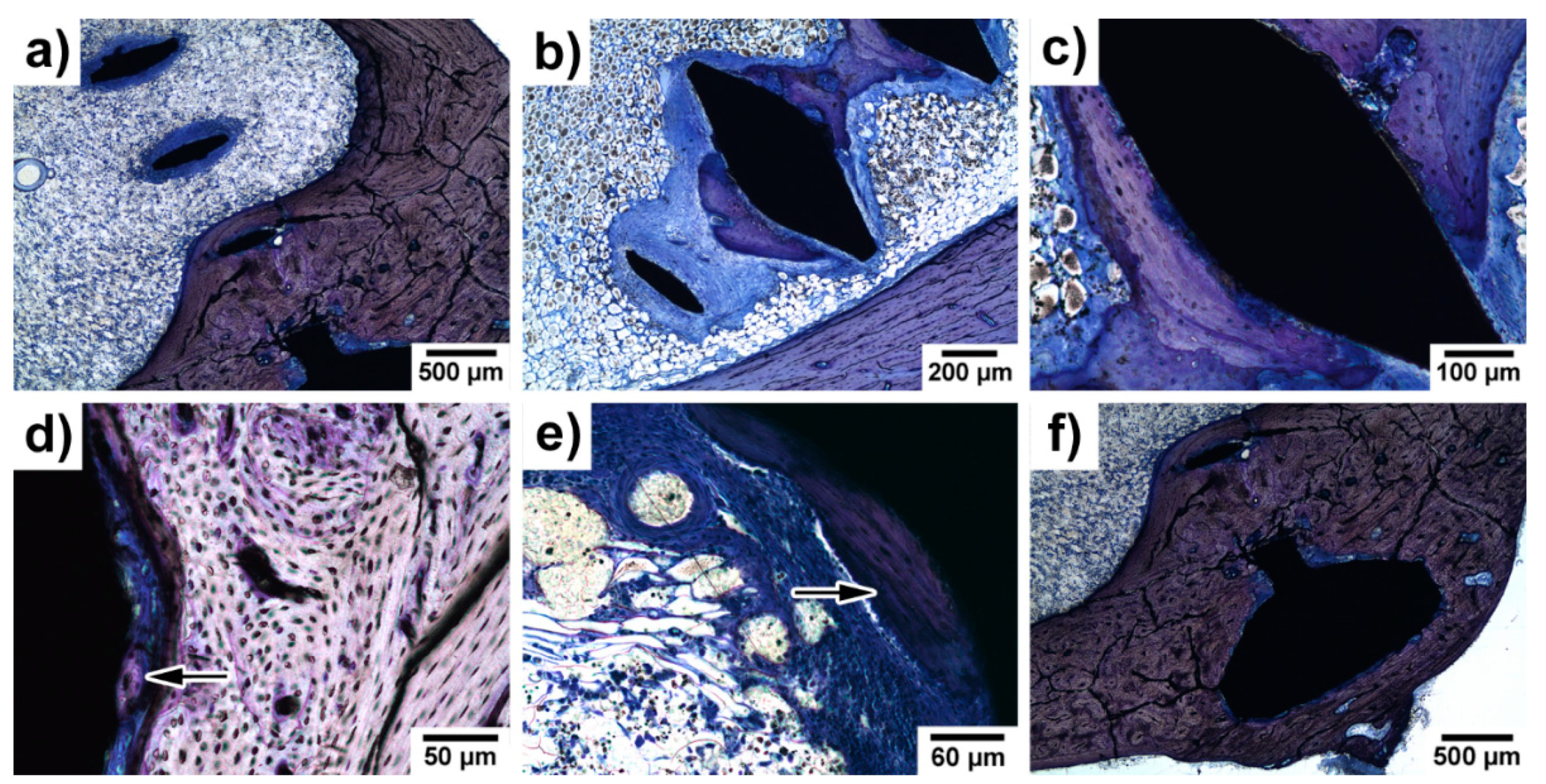 Materials 14 03271 g009