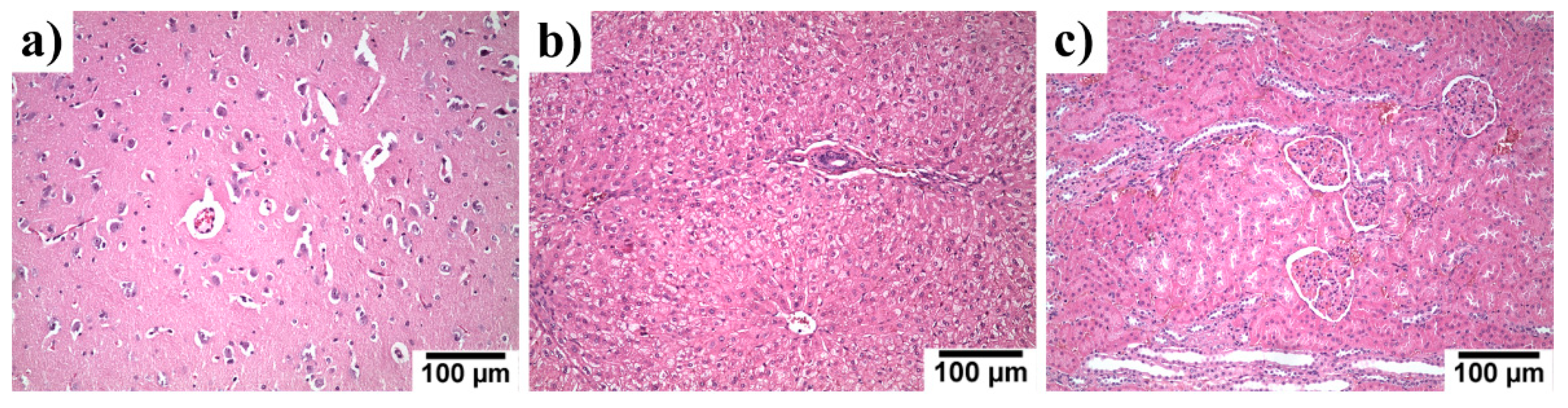 Materials 14 03271 g010