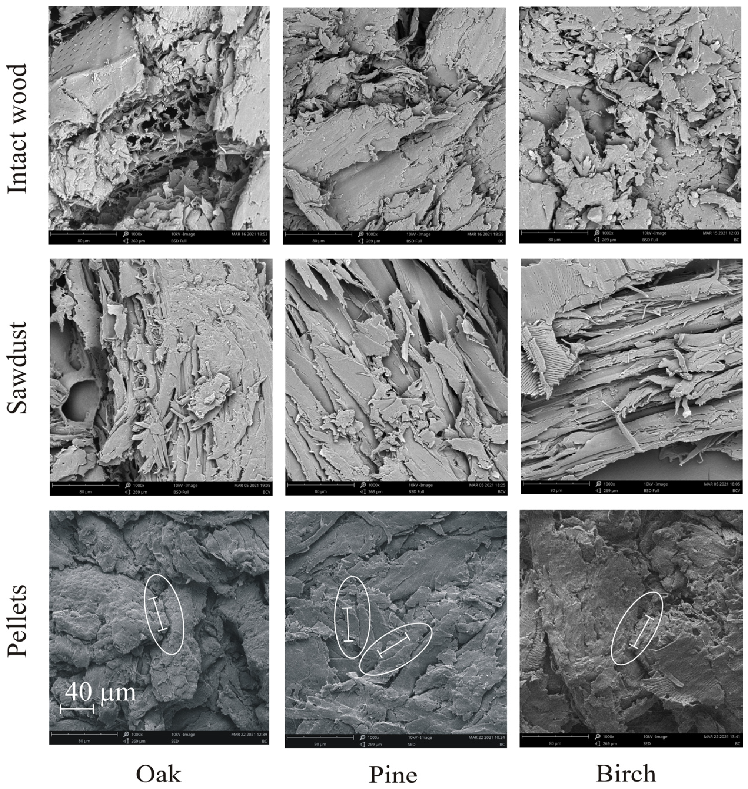 Materials 14 03273 g004 Materials 14 03273 g004