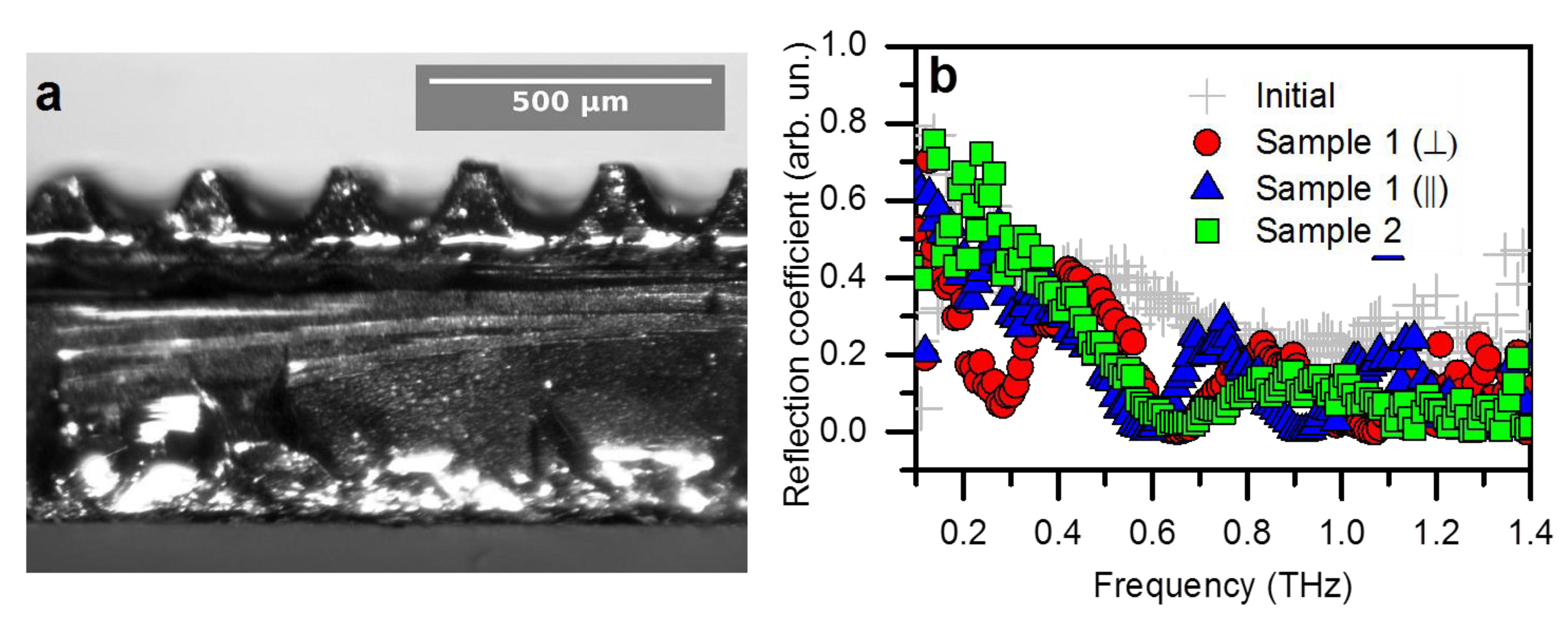 お中元 お歳暮 お年賀 夏 冬 年末年始のご挨拶 ギフト 通販な Laser Patterning of Aligned Carbon Nanotubes Arrays ジャケット・アウター