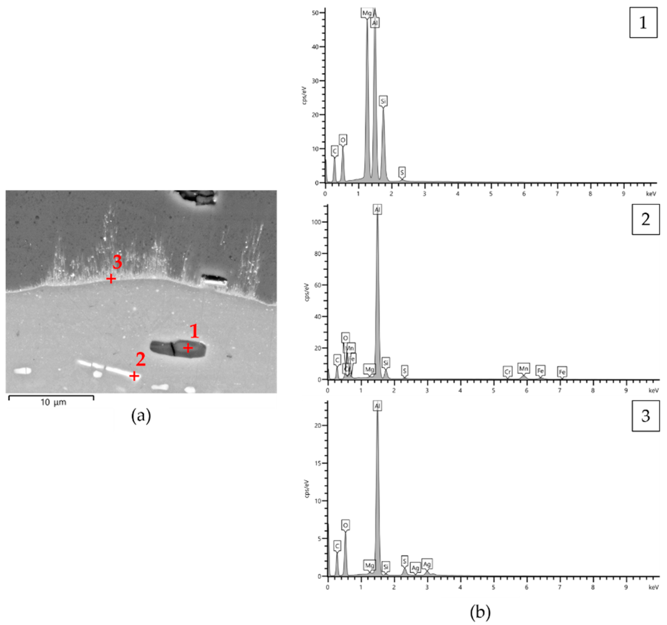 Materials 14 03281 g002 Materials 14 03281 g002