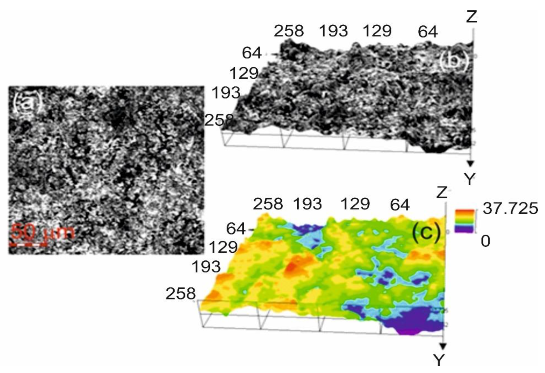 Materials 14 03282 g002