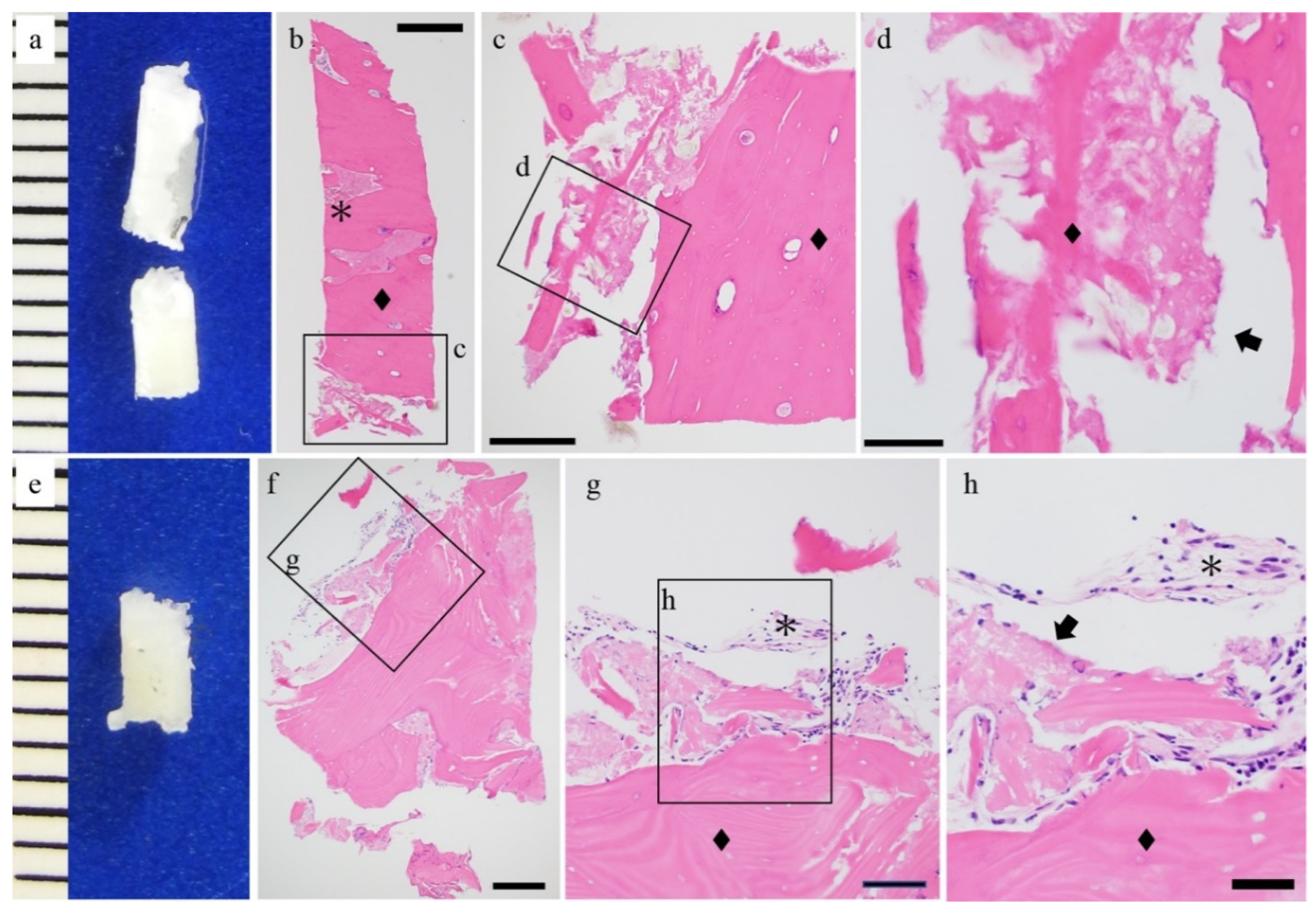 Materials 14 03286 g002 Materials 14 03286 g002