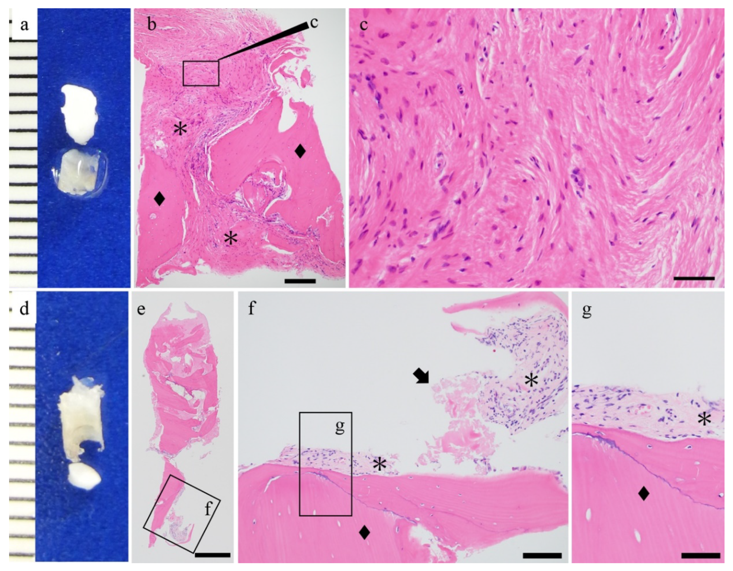 Materials 14 03286 g003 Materials 14 03286 g003