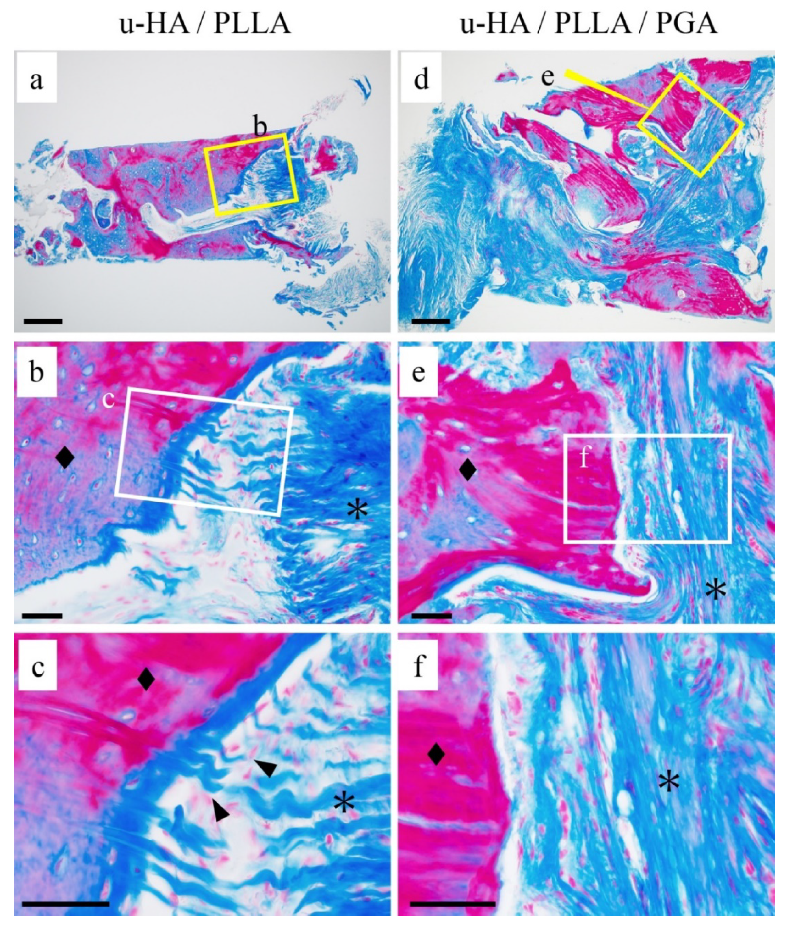 Materials 14 03286 g004 Materials 14 03286 g004