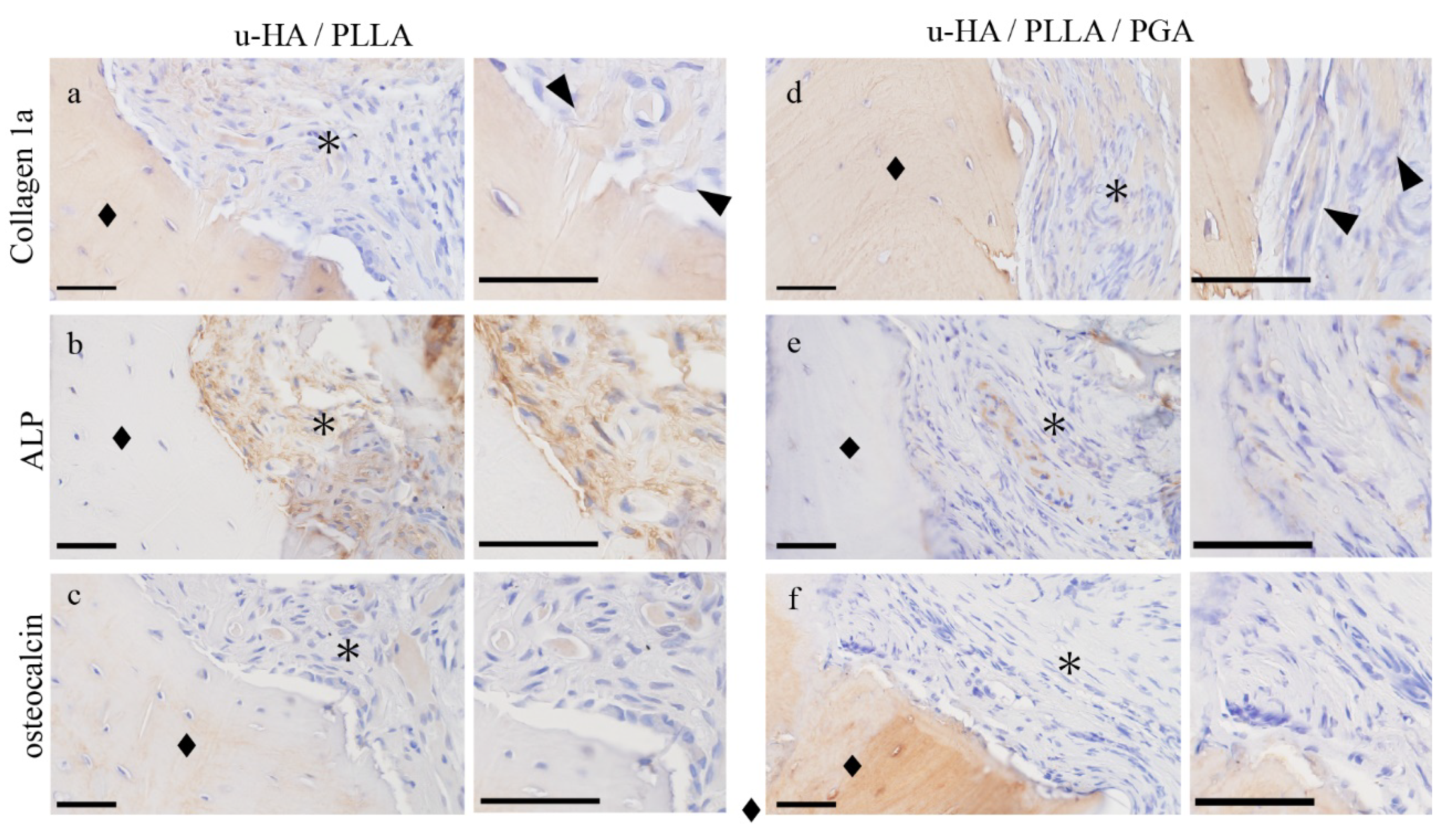 Materials 14 03286 g005 Materials 14 03286 g005