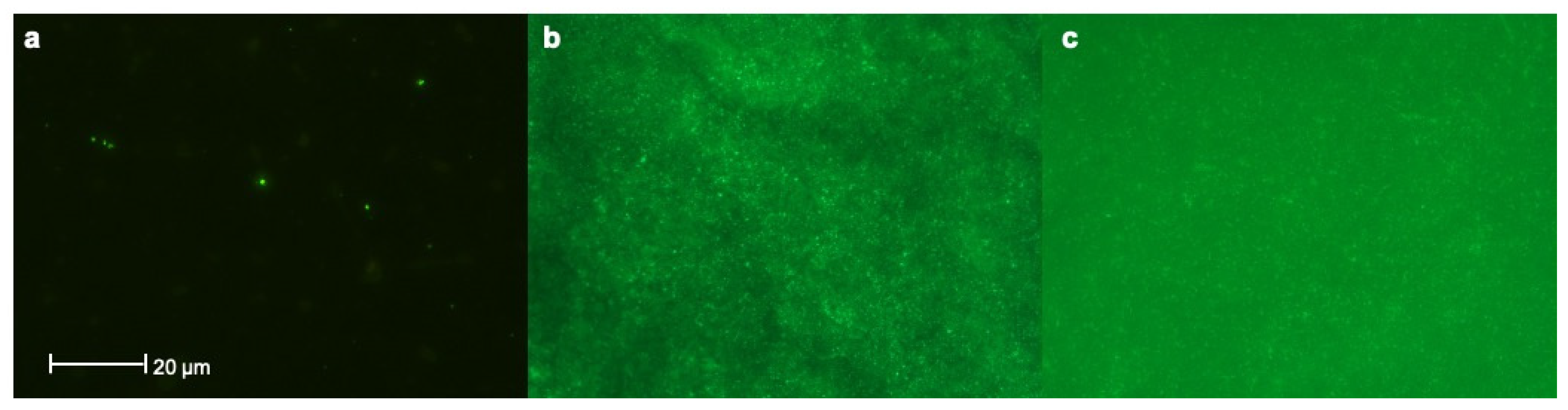 Materials 14 03303 g005 Materials 14 03303 g005