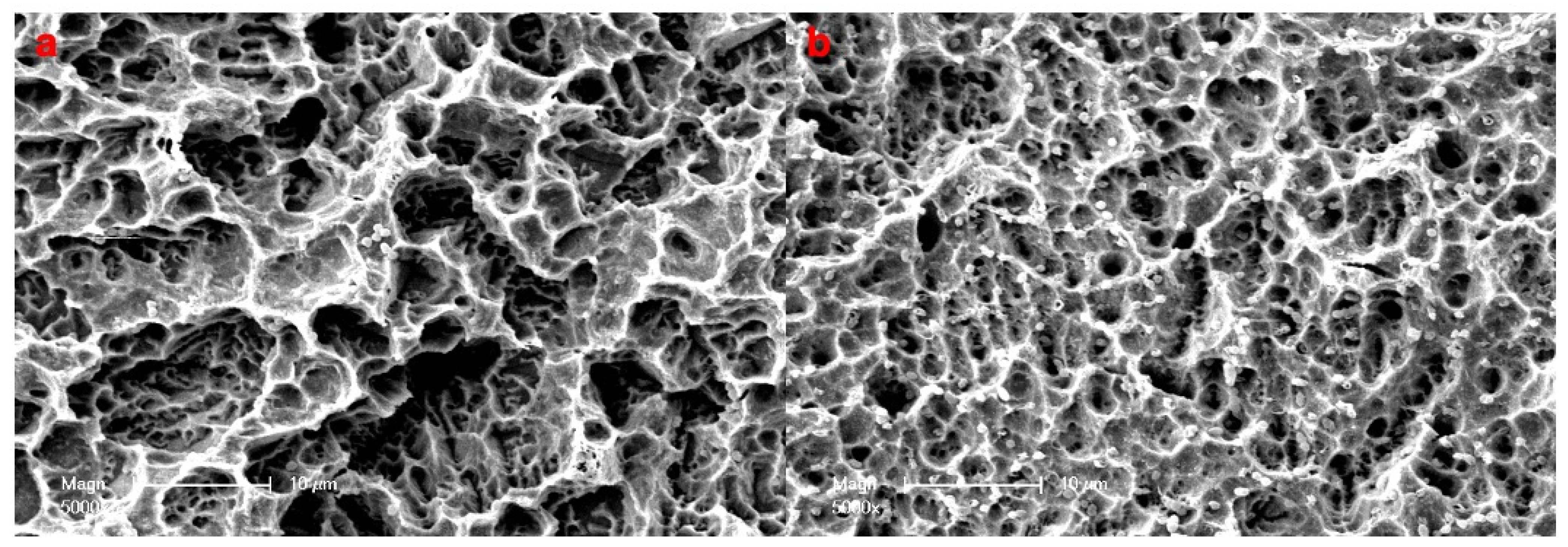 Materials 14 03303 g006 Materials 14 03303 g006